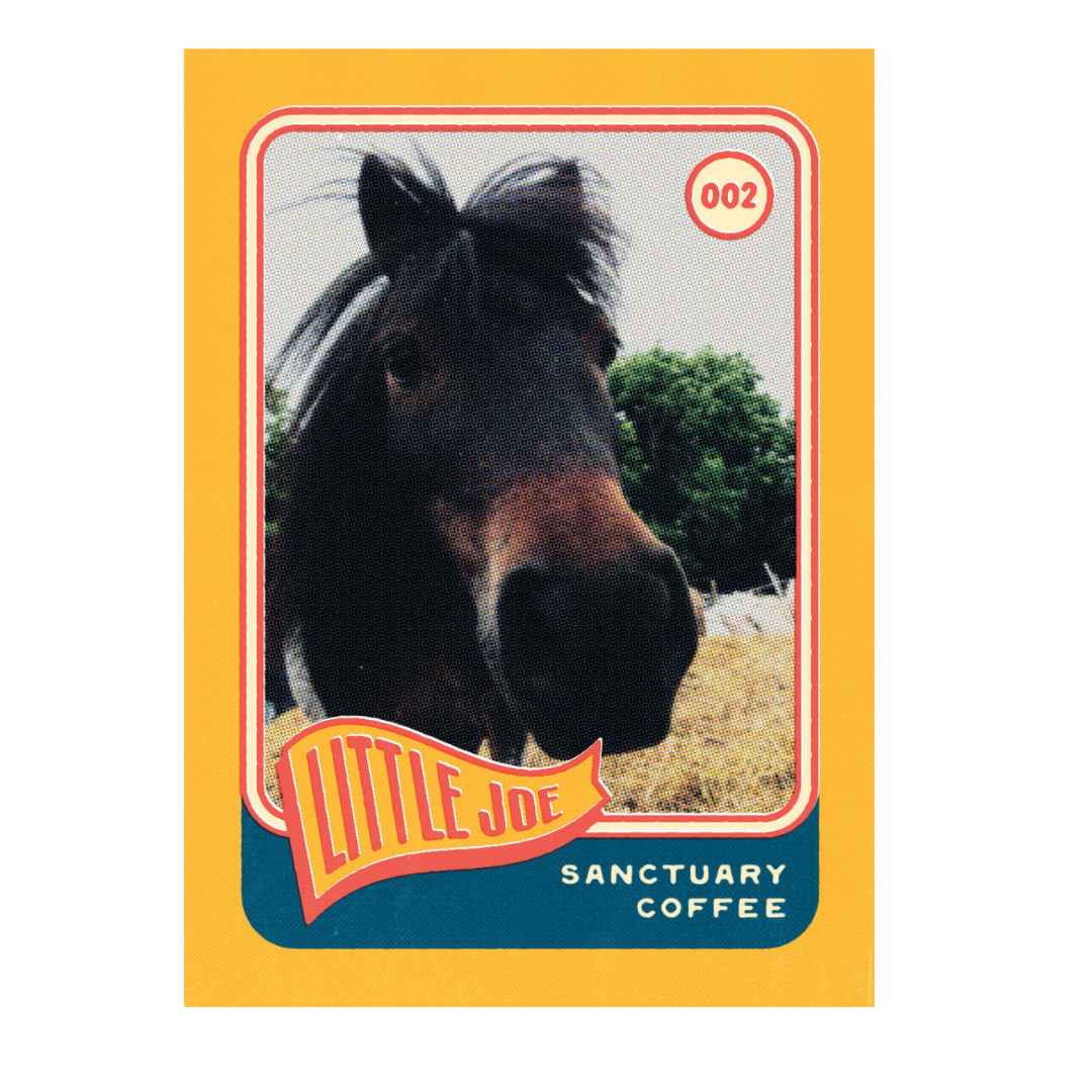 Little Joe Coffee copy.png