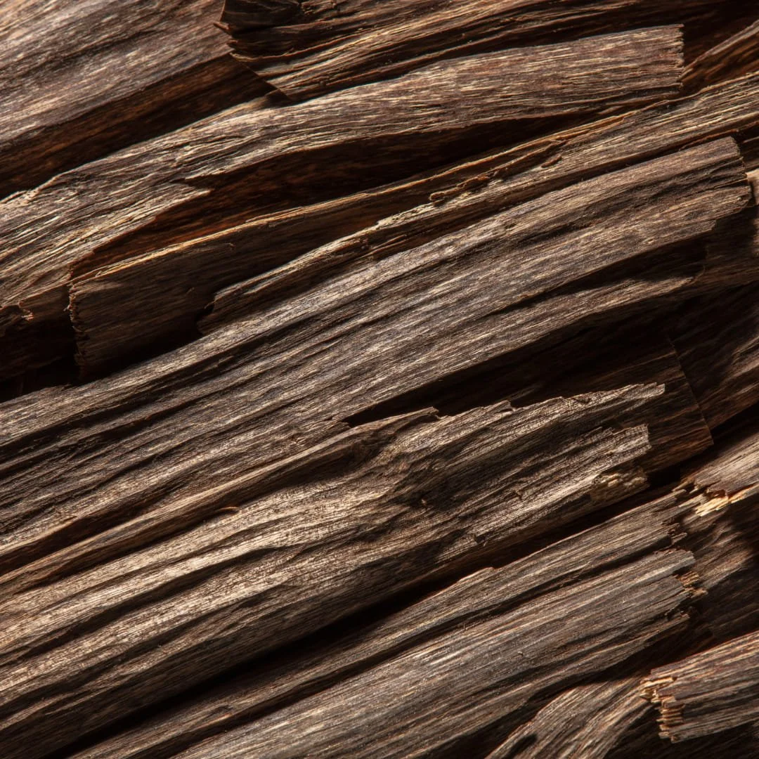 Sandalwood Fragrance Imagery.jpg