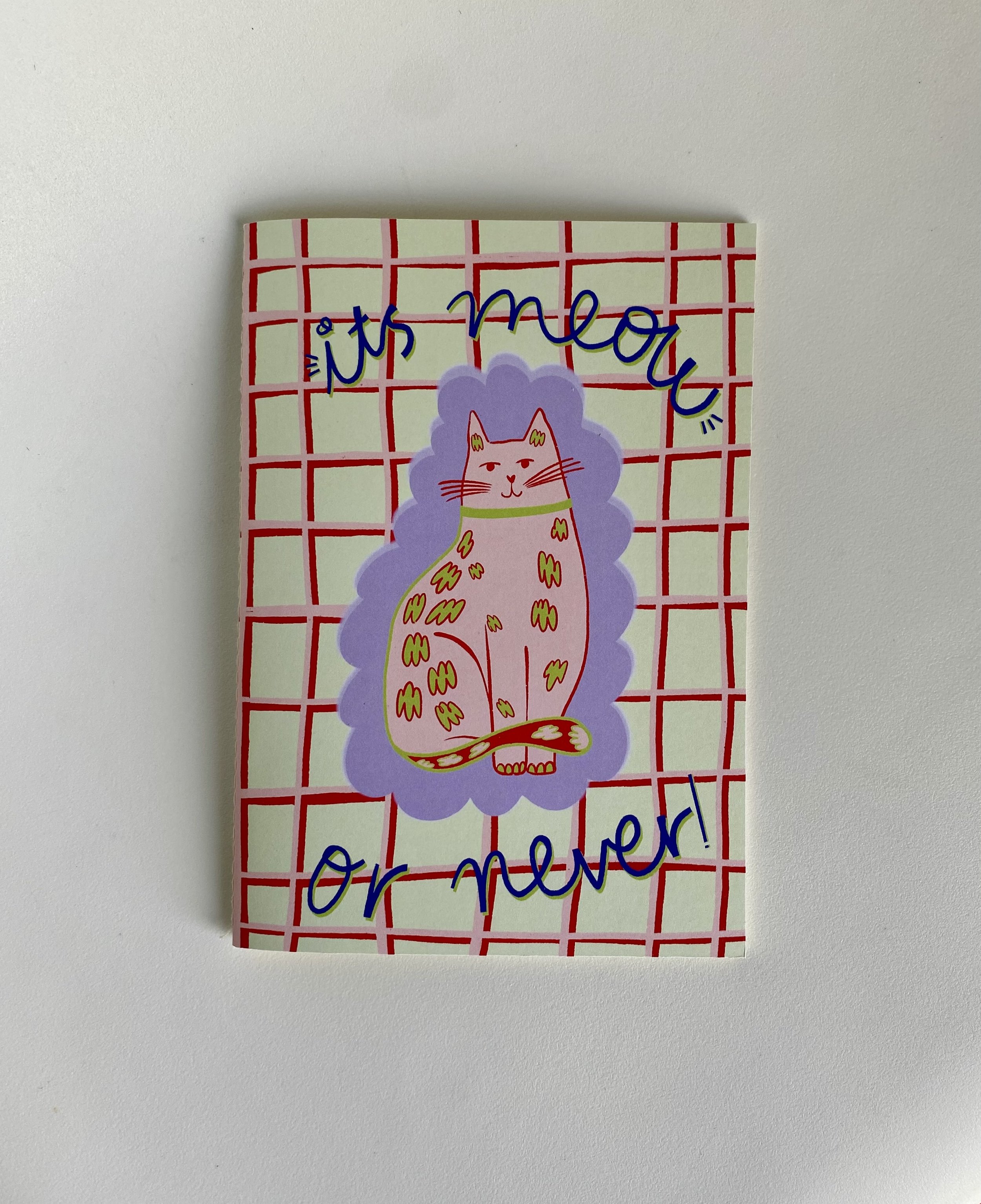 ✨ “It’s Meow or Never” — Handmade Illustrated Notebook ✨