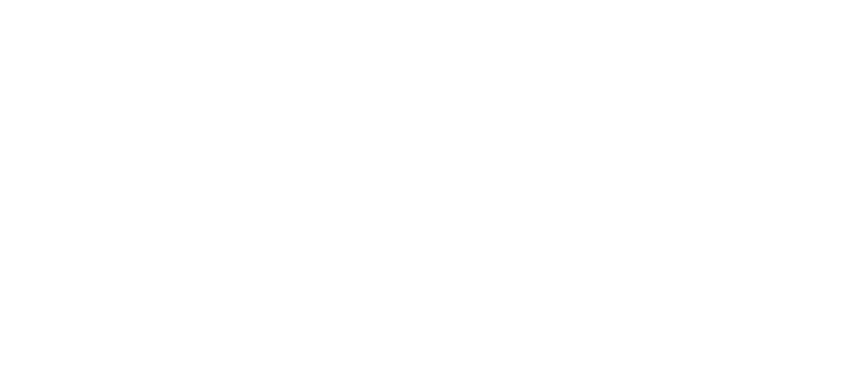 Zeynep Falay von Flittner