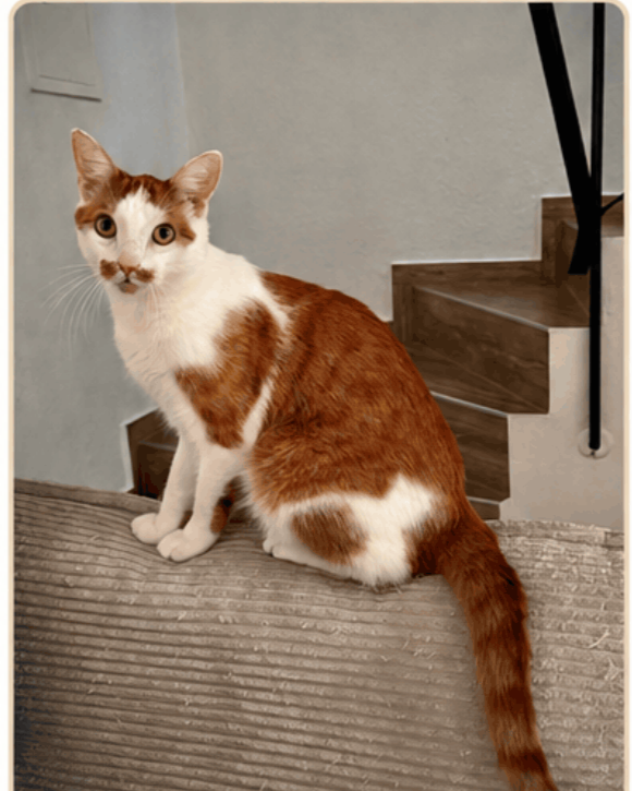 Casper’s story