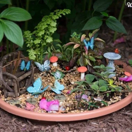 STOP.......ONLY TIME THIS YEAR!

Fairy Garden Making Class

Create your own miniature world in this gentle, hands-on crafting session. You&rsquo;ll design and build a fairy garden using natural textures and tiny decorative details, guided step-by-ste