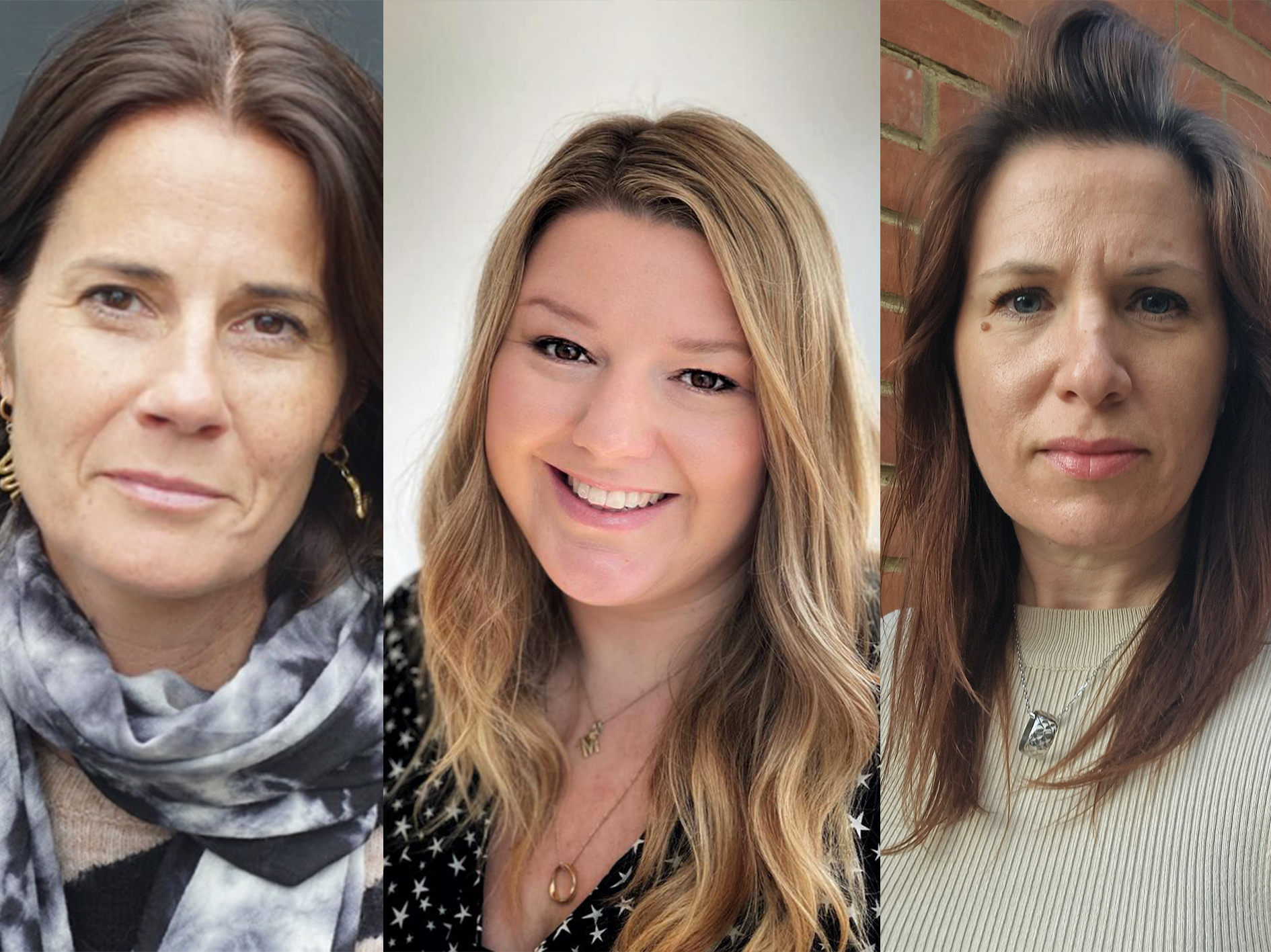 The Story Company becomes The Story Collective and Expands Top Team 