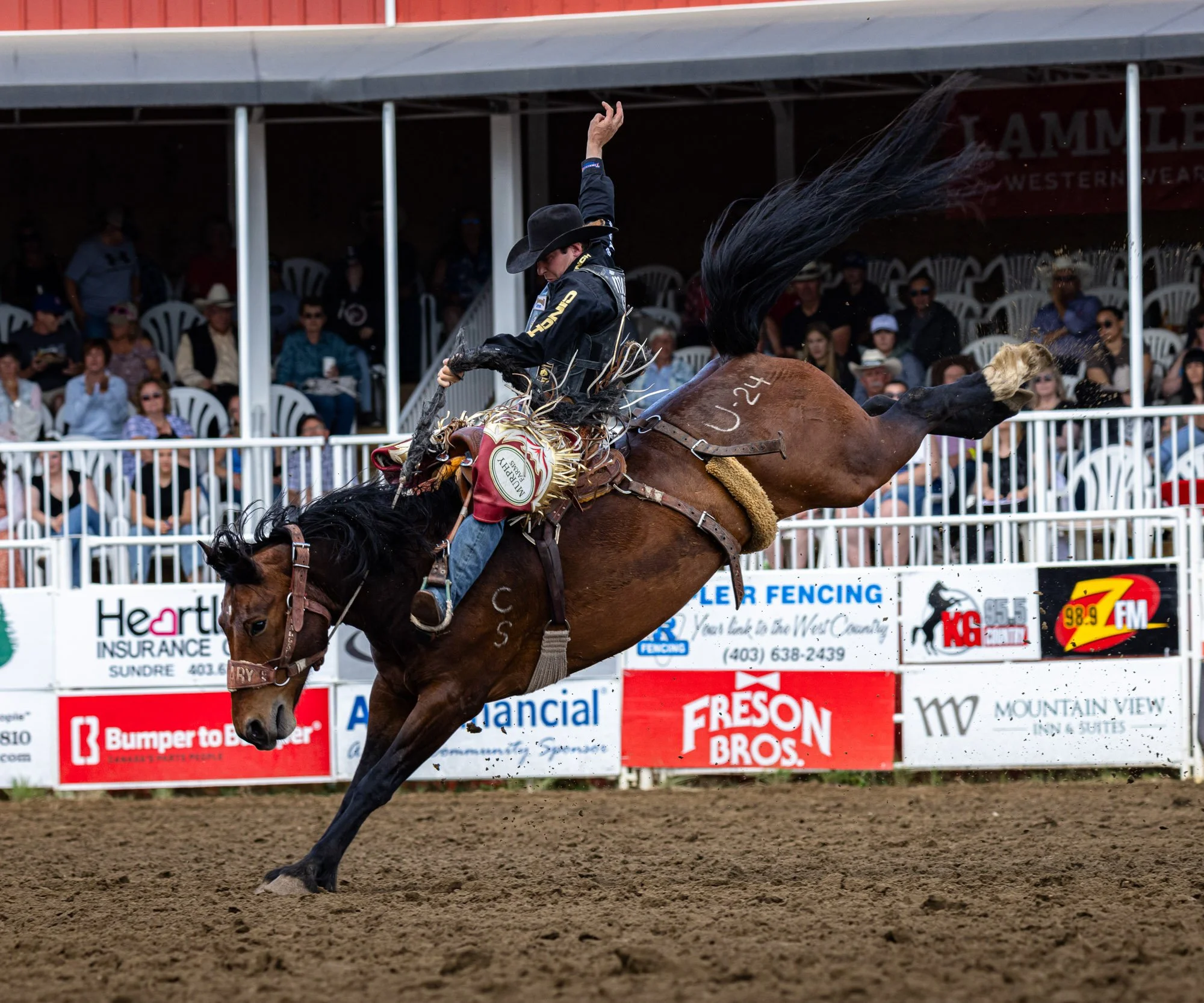 Sundry Pro Rodeo_Bronc 3.jpg