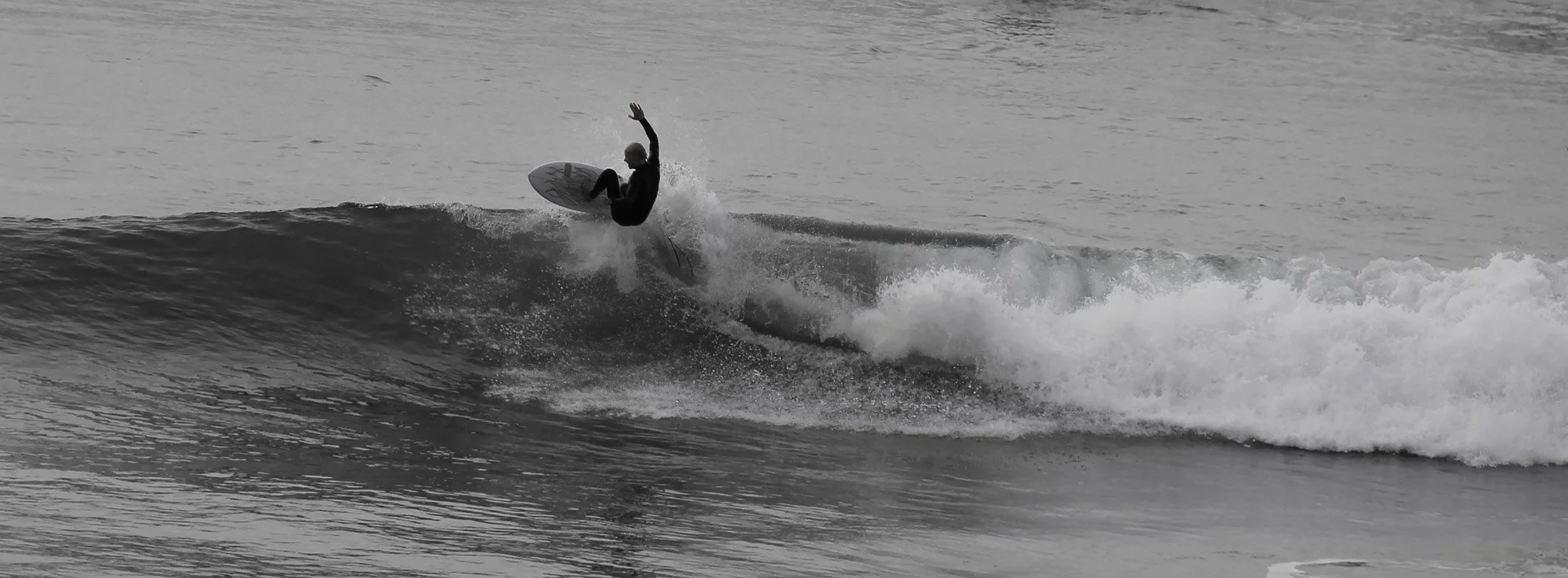 Catching a wave.jpg