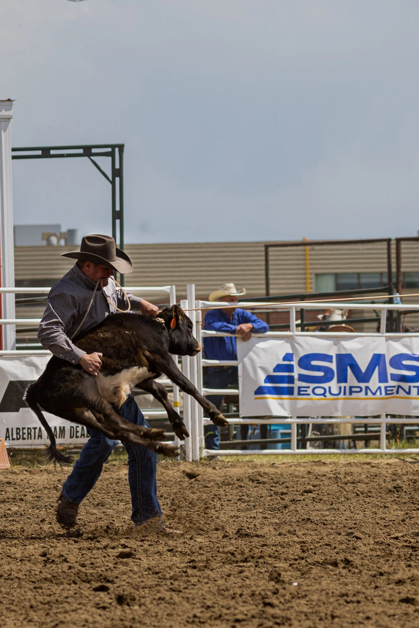 Rodeo_professional_Calf_Ropping_Sundre.jpg