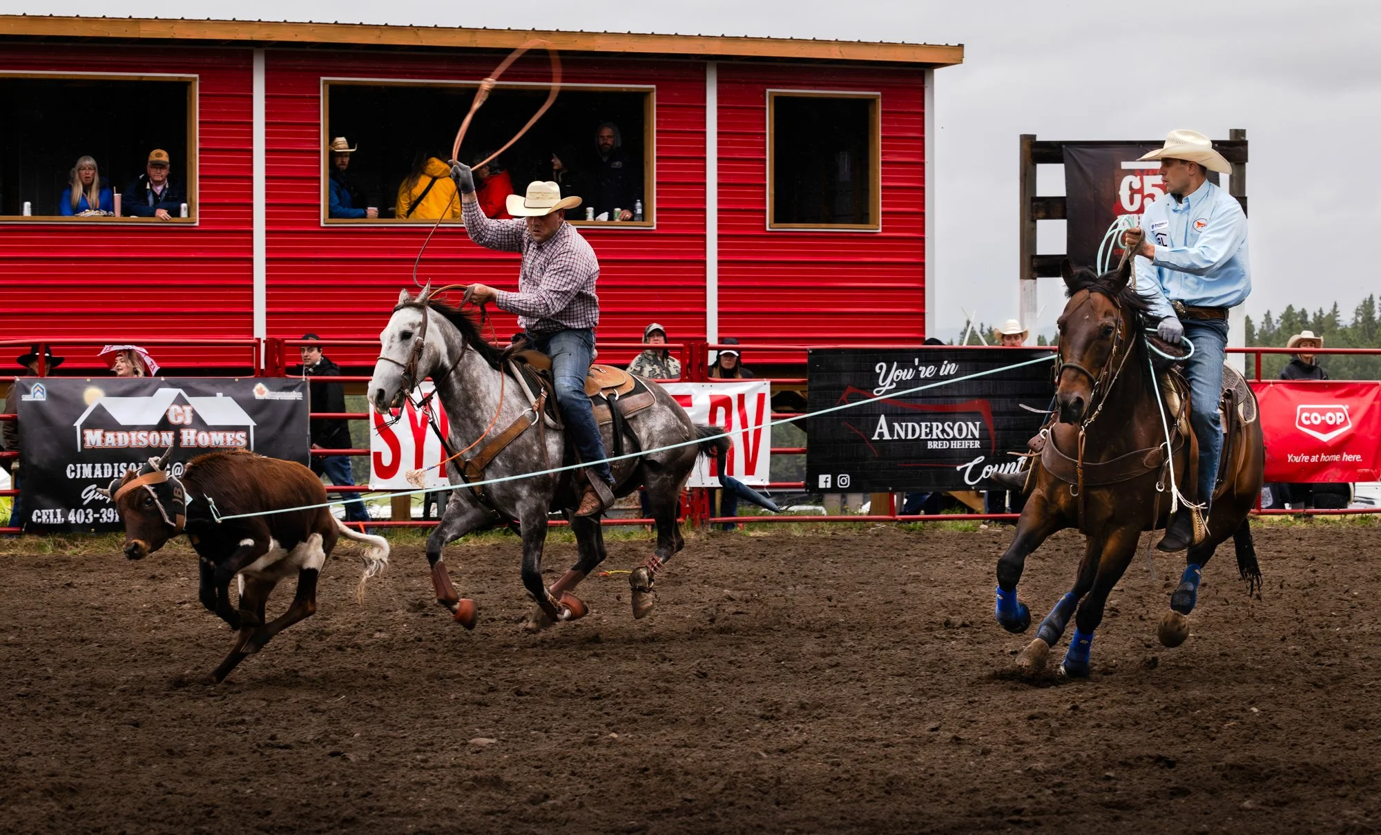 2024_Daines Rodeo Ranch_team rope 1.jpg