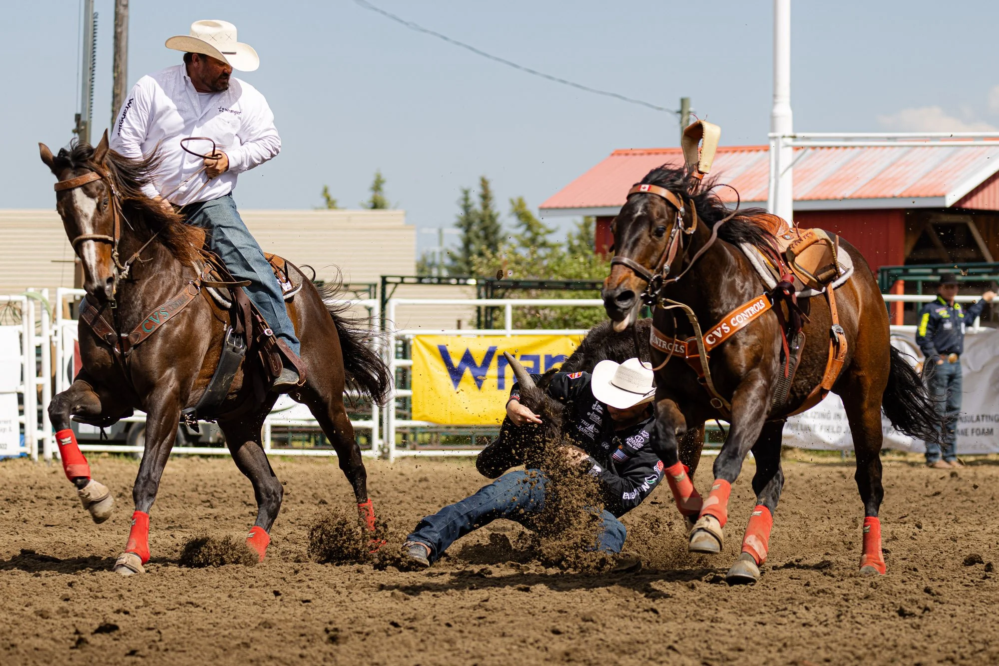 Rodeo_professional_BullDogging_Sundre.jpg