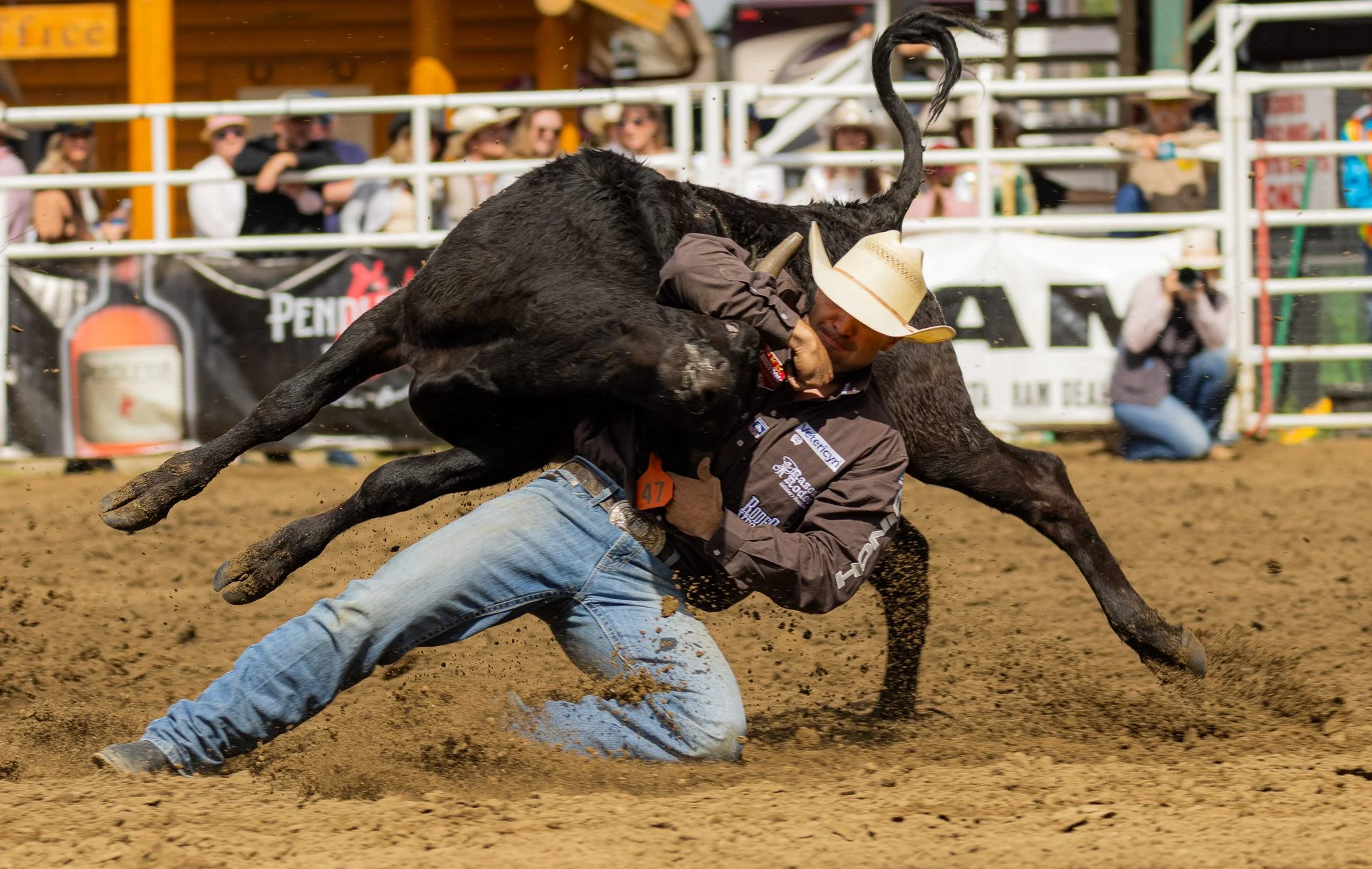 Sundry Pro Rodeo_Bulldogging 1.jpg