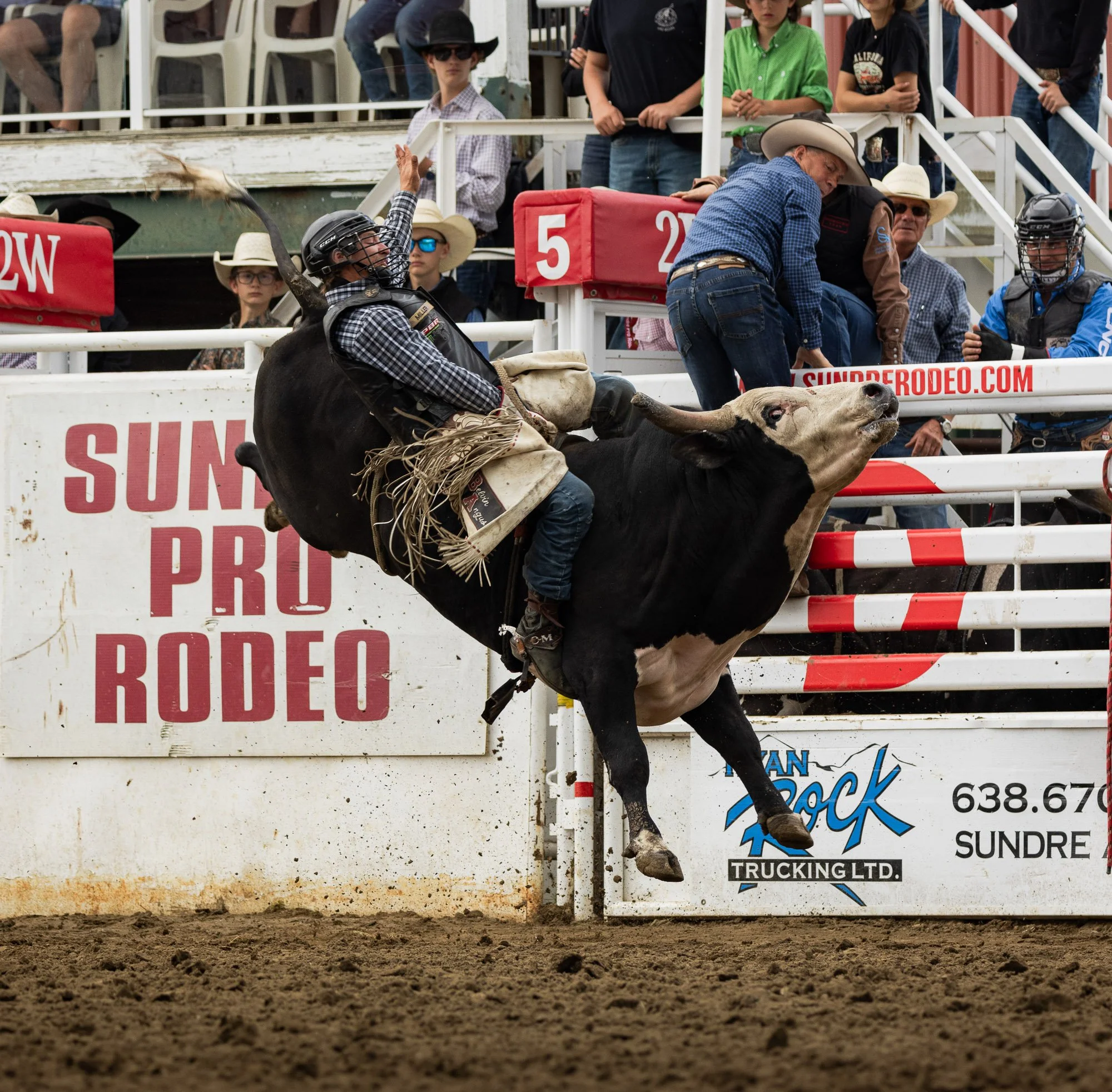Sundre Rodeo_Bull Ridding 1.jpg