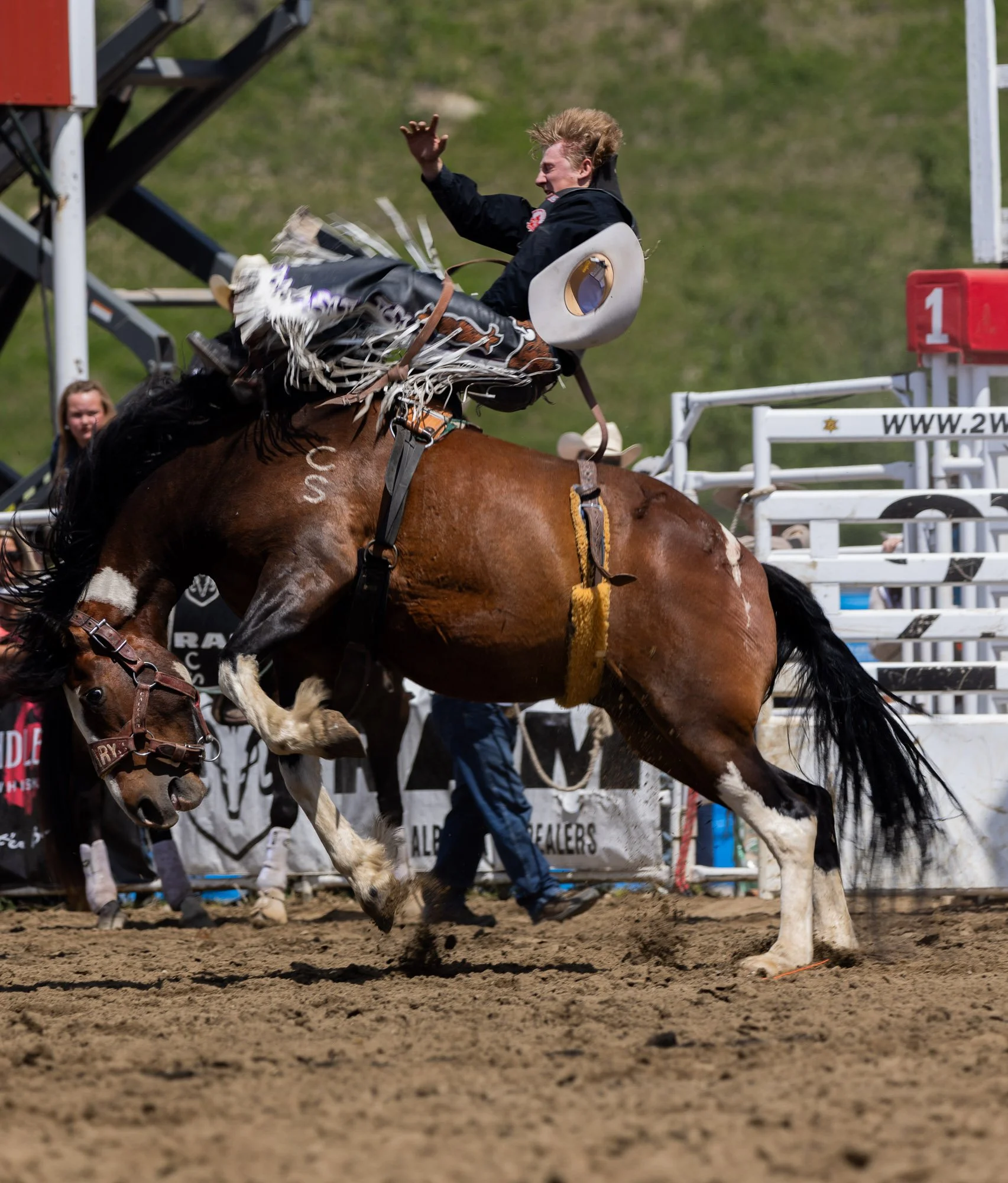 Rodeo_professional_Junior_Bronc_Riding_Sundre.jpg