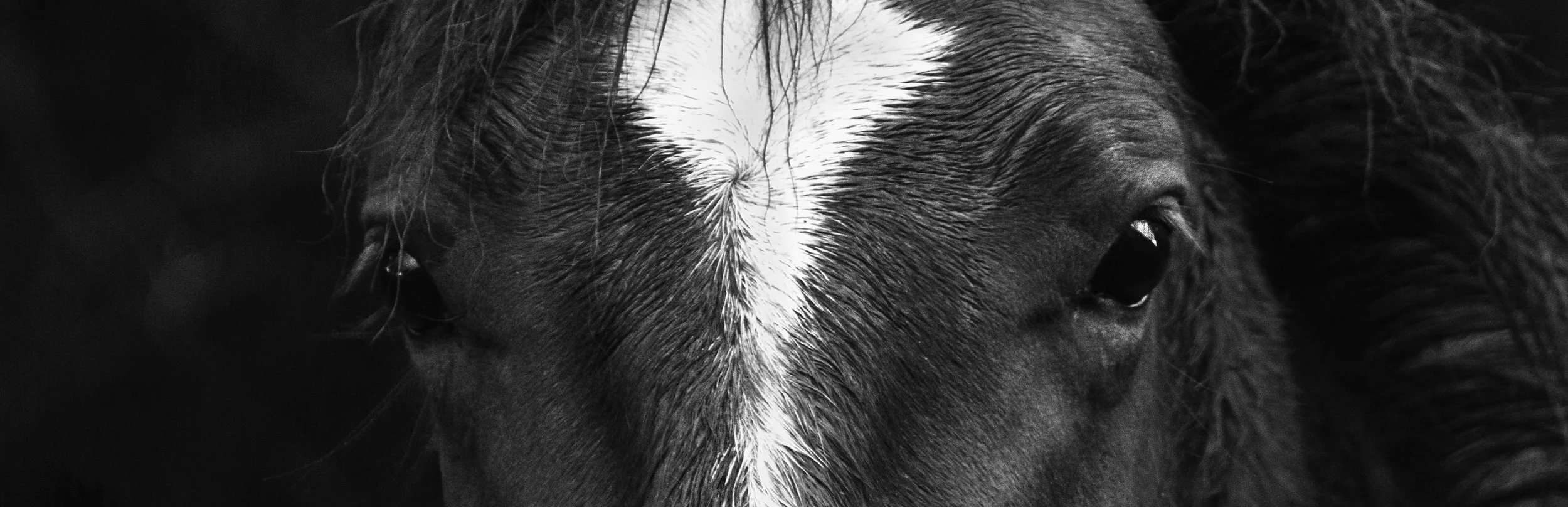 untitled_20220604_1534-Edit.jpg
