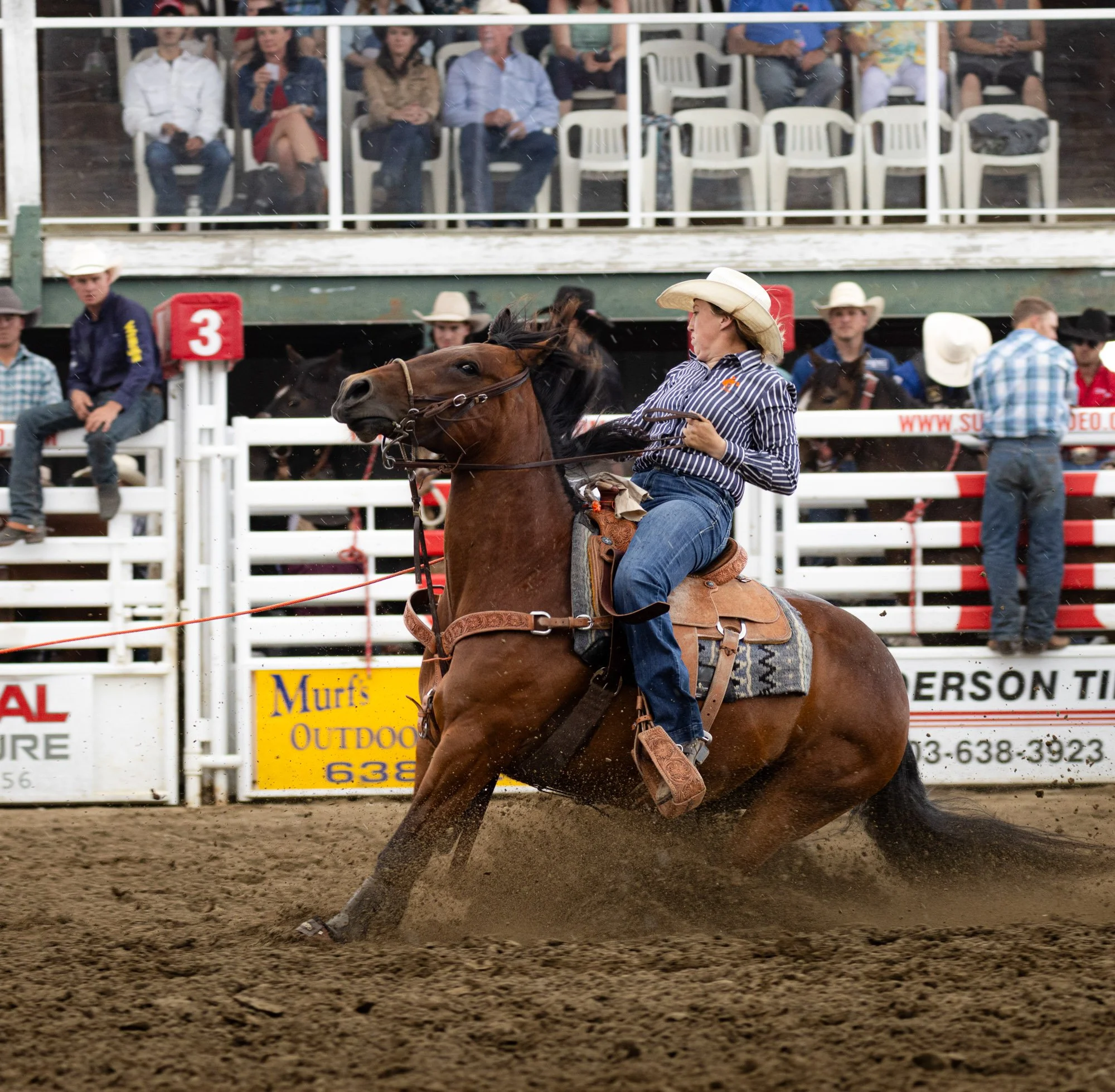Sundry Pro Rodeo_Breakaway roping.jpg