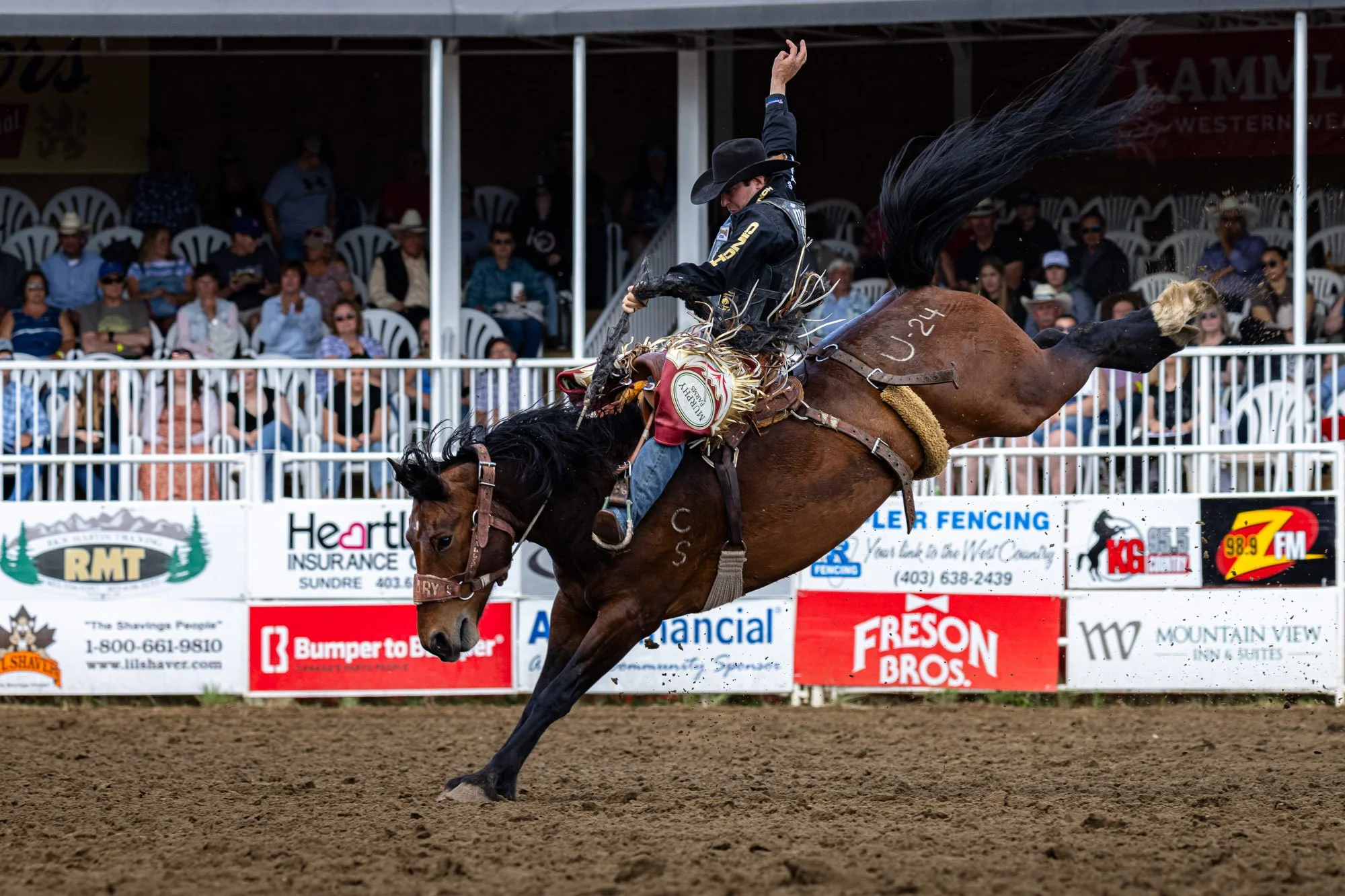 Rodeo_professional_Bronc_Riding_Sundre_1.jpg