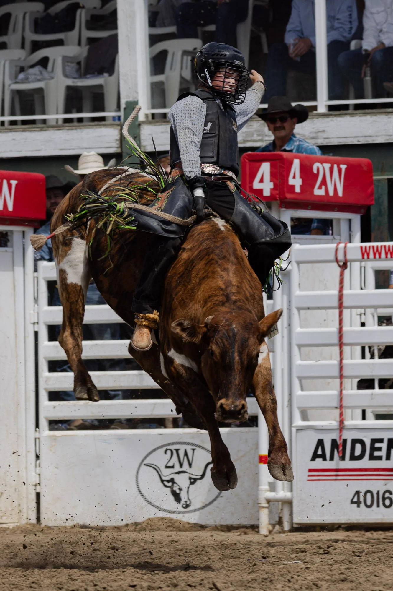 Rodeo_professional_Junior_Bull_Riding_Sundre.jpg