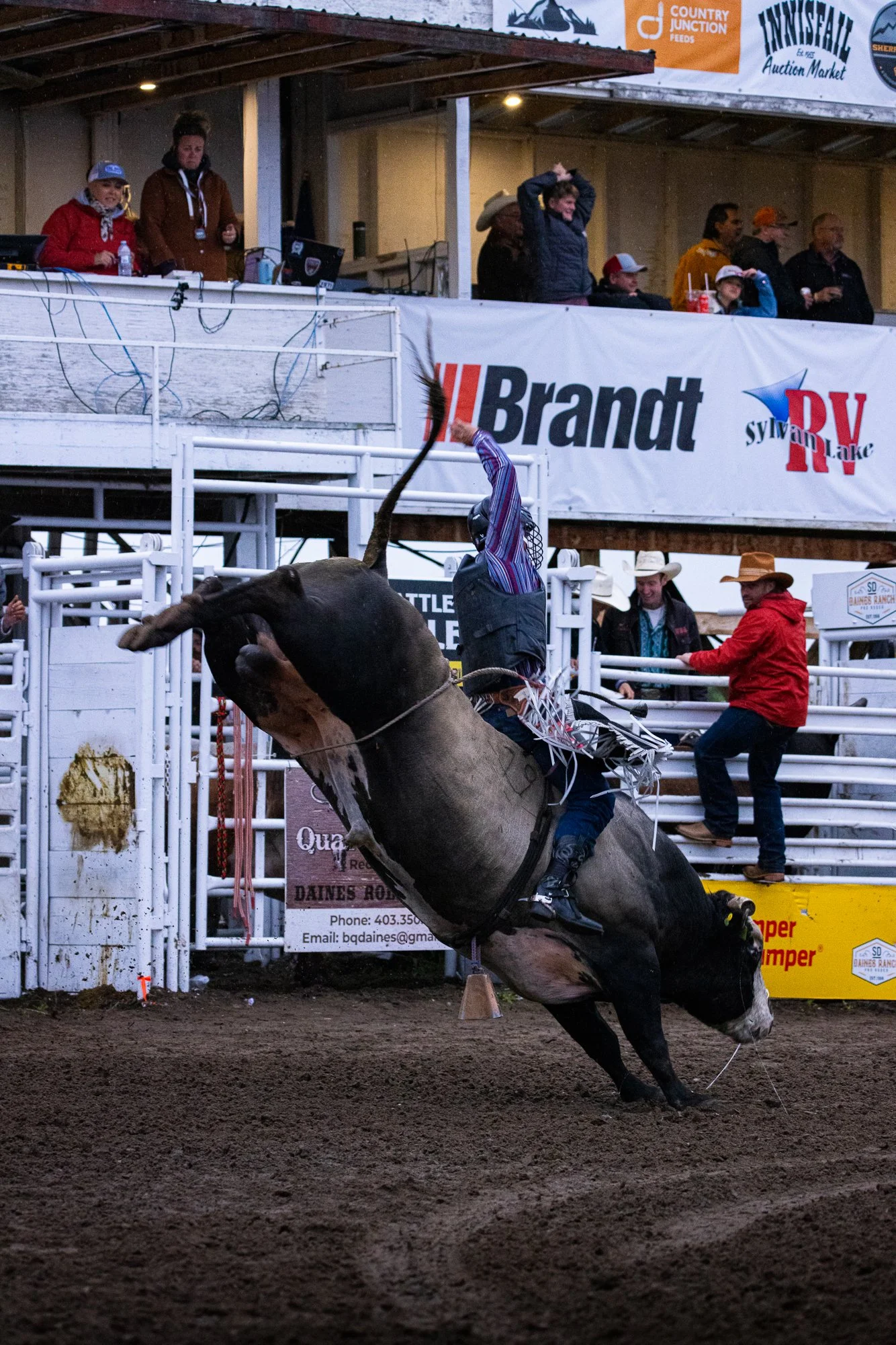 Daines Rodeo Ranch_Bull Riding_2.jpg