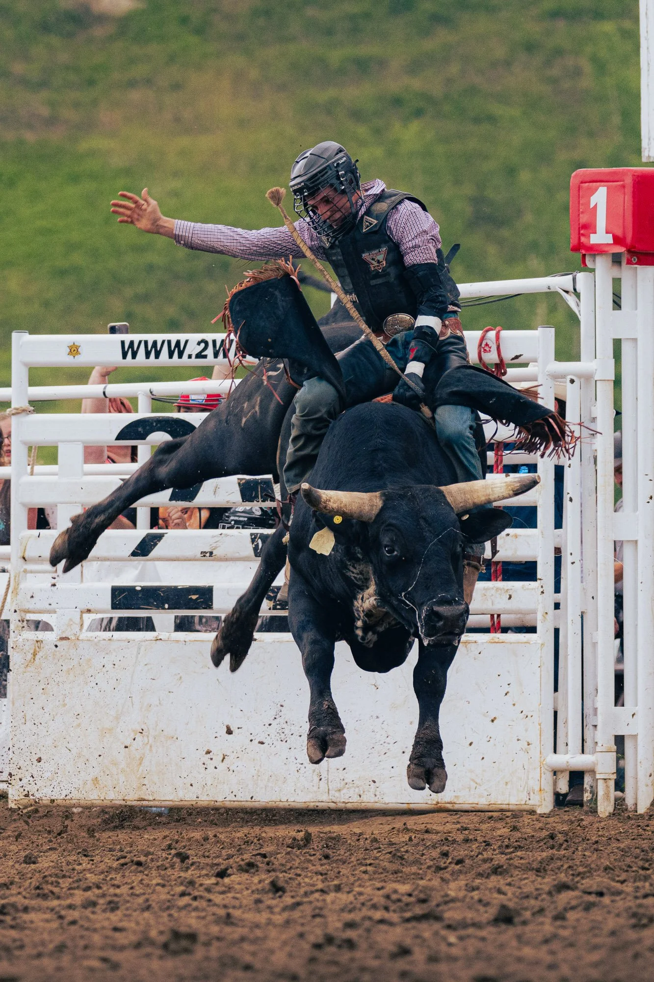 Rodeo_professional_Bull_Riding_Sundre.jpg