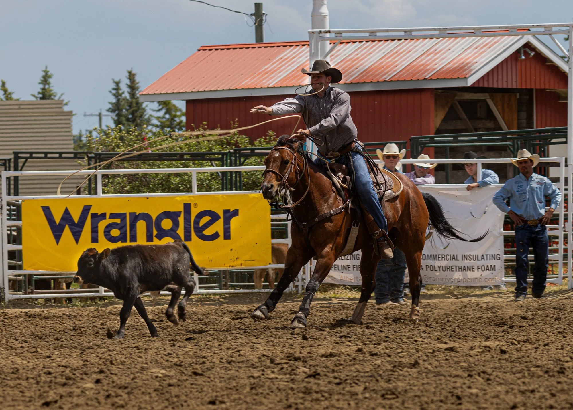 Sundre Rodeo_20240623_1279.jpg