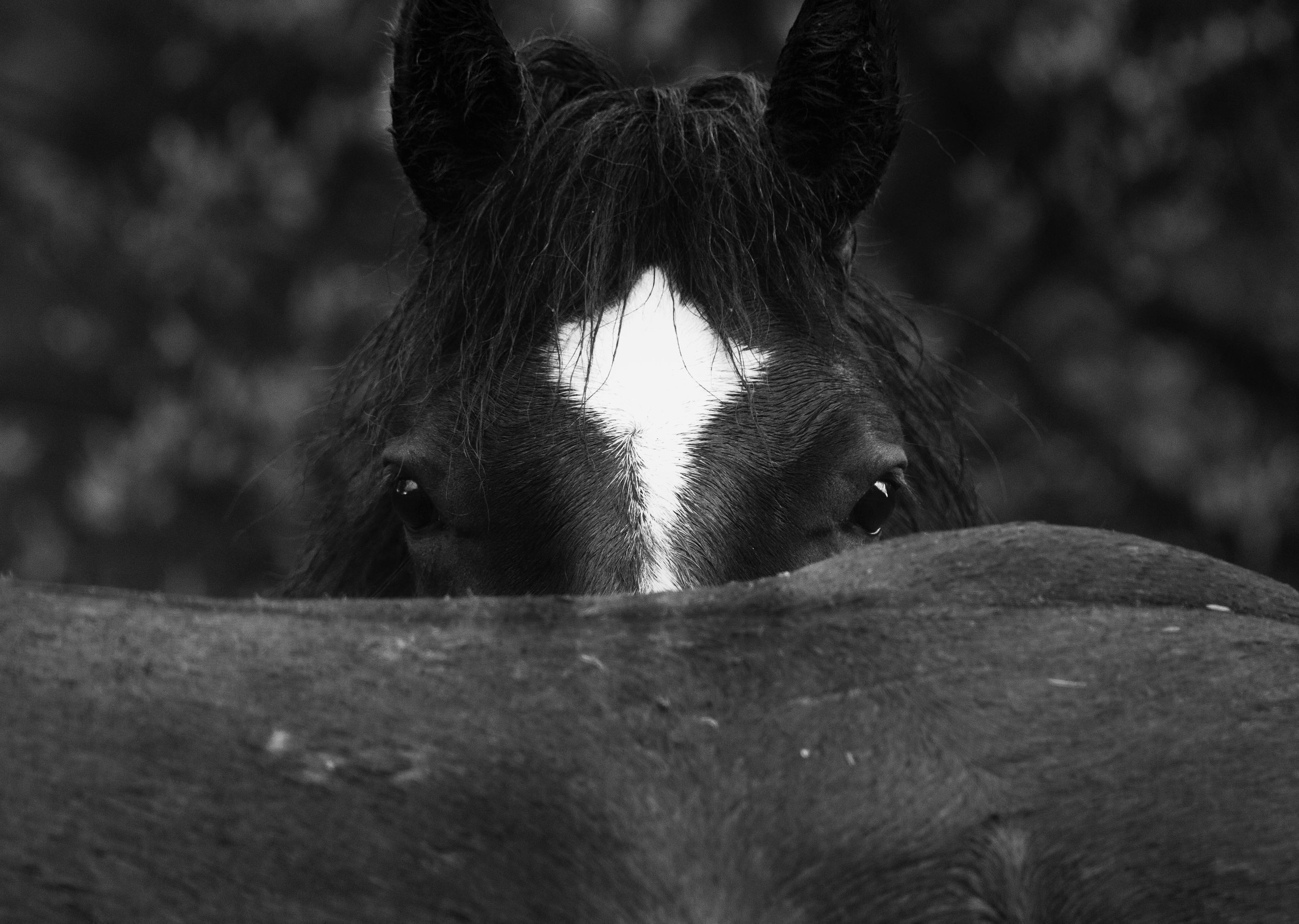 untitled_20220604_1543-Edit.jpg