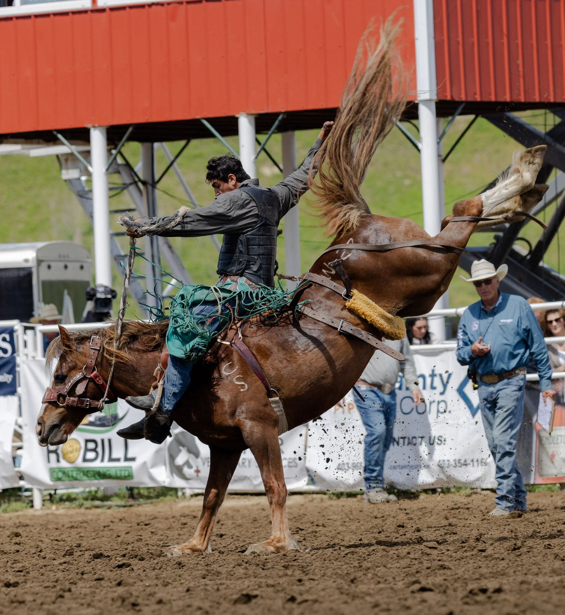Sundry Pro Rodeo_Bronc 2.jpg