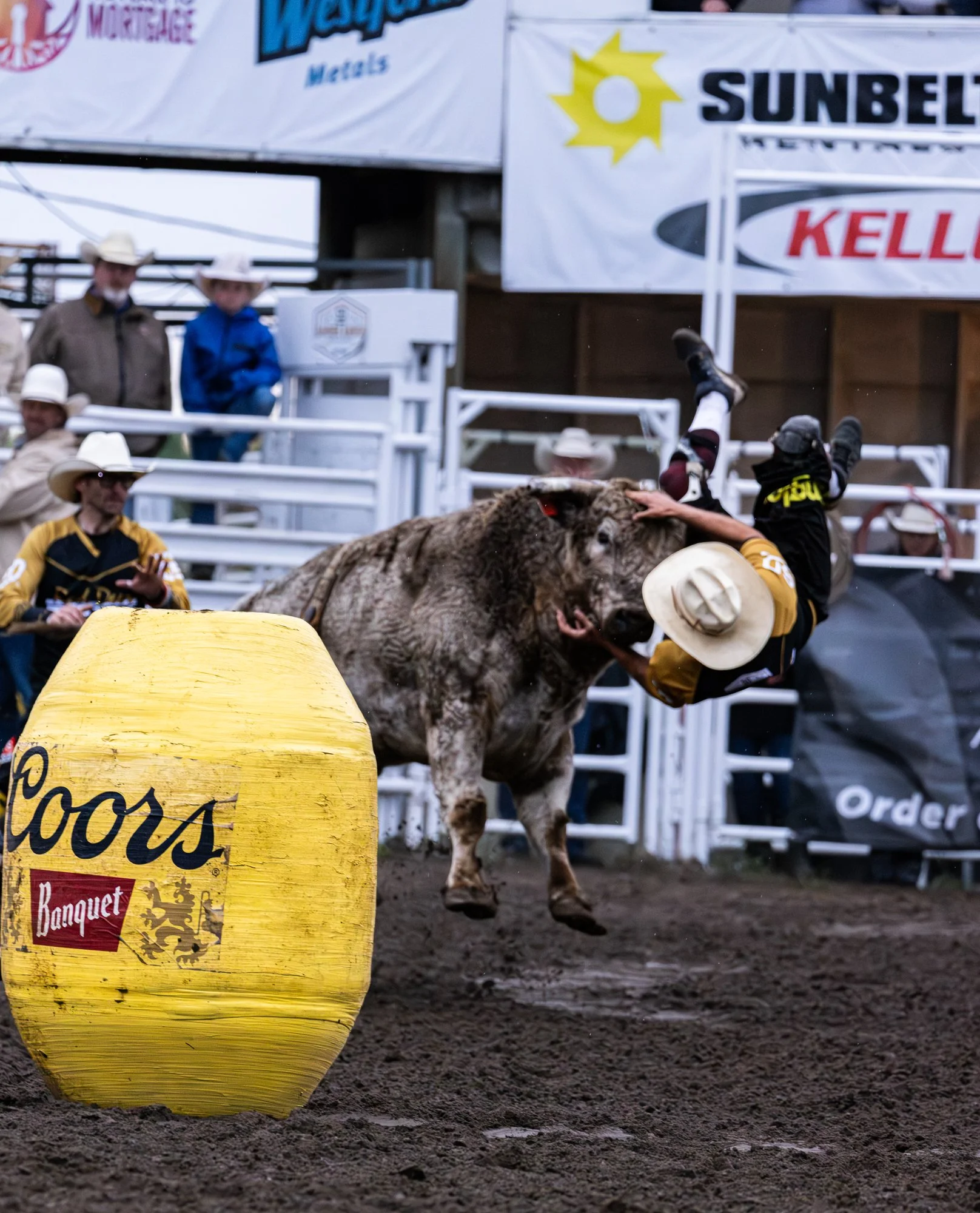 Daines Rodeo Ranch_Bull Fighter_1.jpg