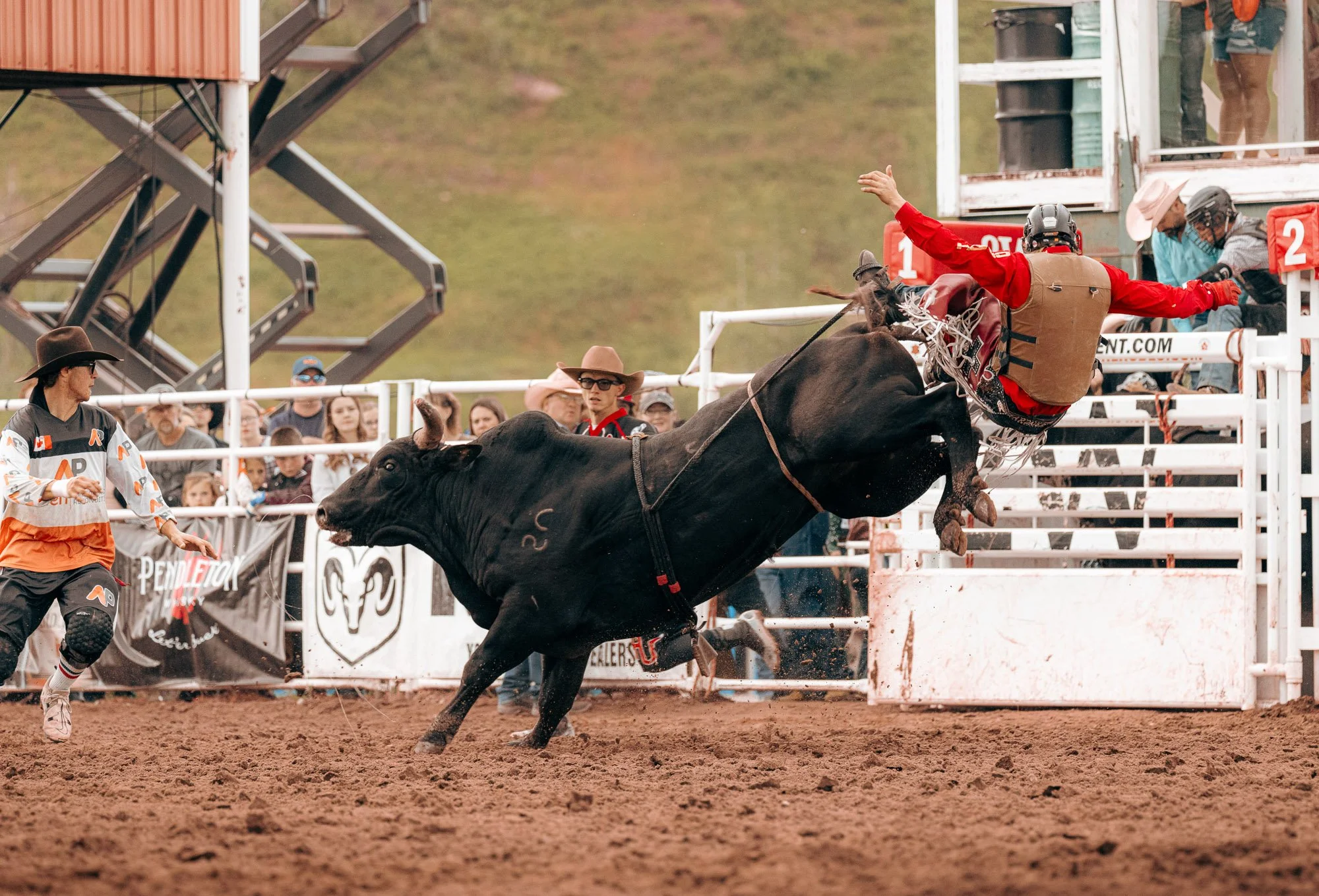 Sundre Rodeo_Bull Ridding 4.jpg