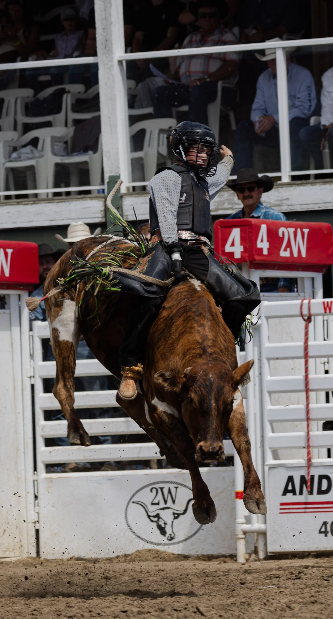 Sundry Pro Rodeo_Bull 1.jpg