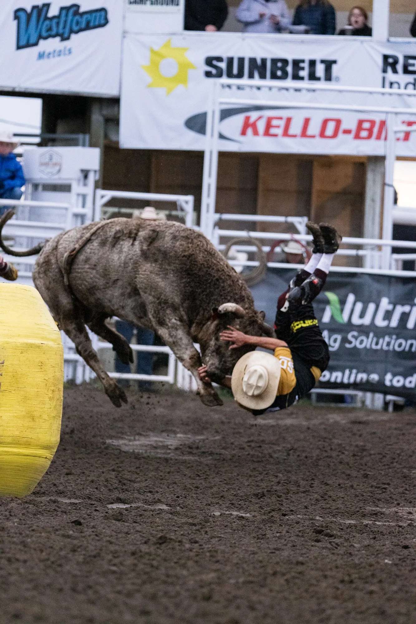 Daines Rodeo Ranch_Bull Fighter_2.jpg