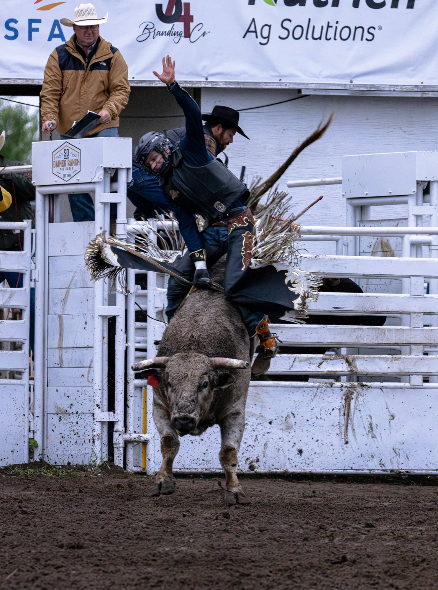 Daines Rodeo Ranch_Bull Riding 1.jpg