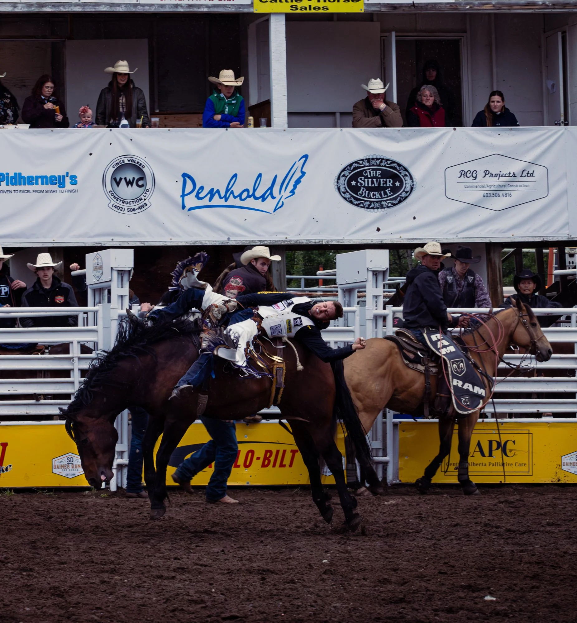 Daines Rodeo Ranch_Bronc 1.jpg
