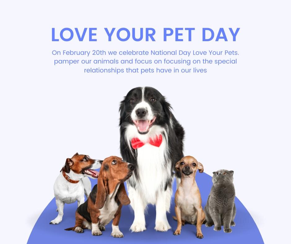 Today is national love your pet day - lets see photos of your pets of any shape or size
Post photos in comments please, lets make facebook full of lovely animals

 #loveyourpet #loveyourpets #LoveYourPetDay #loveyourpetday #loveyourpetsday