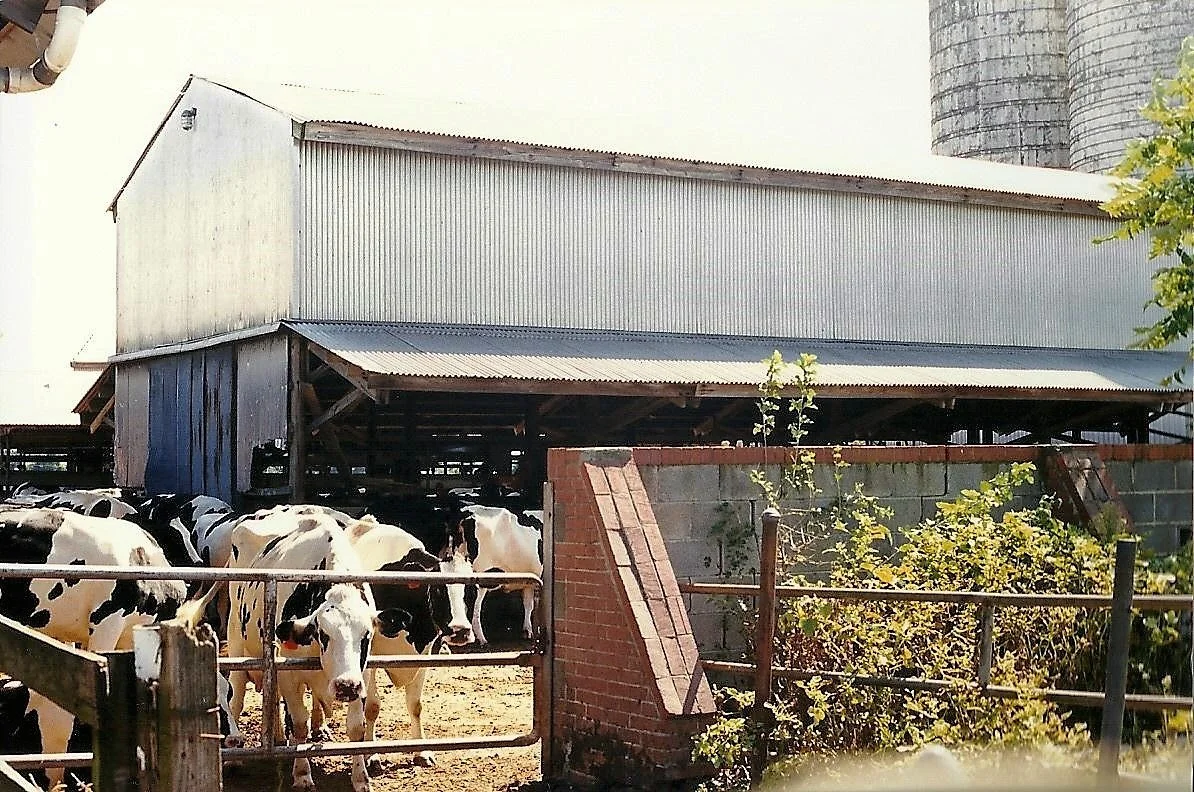 dairy farm l.jpg