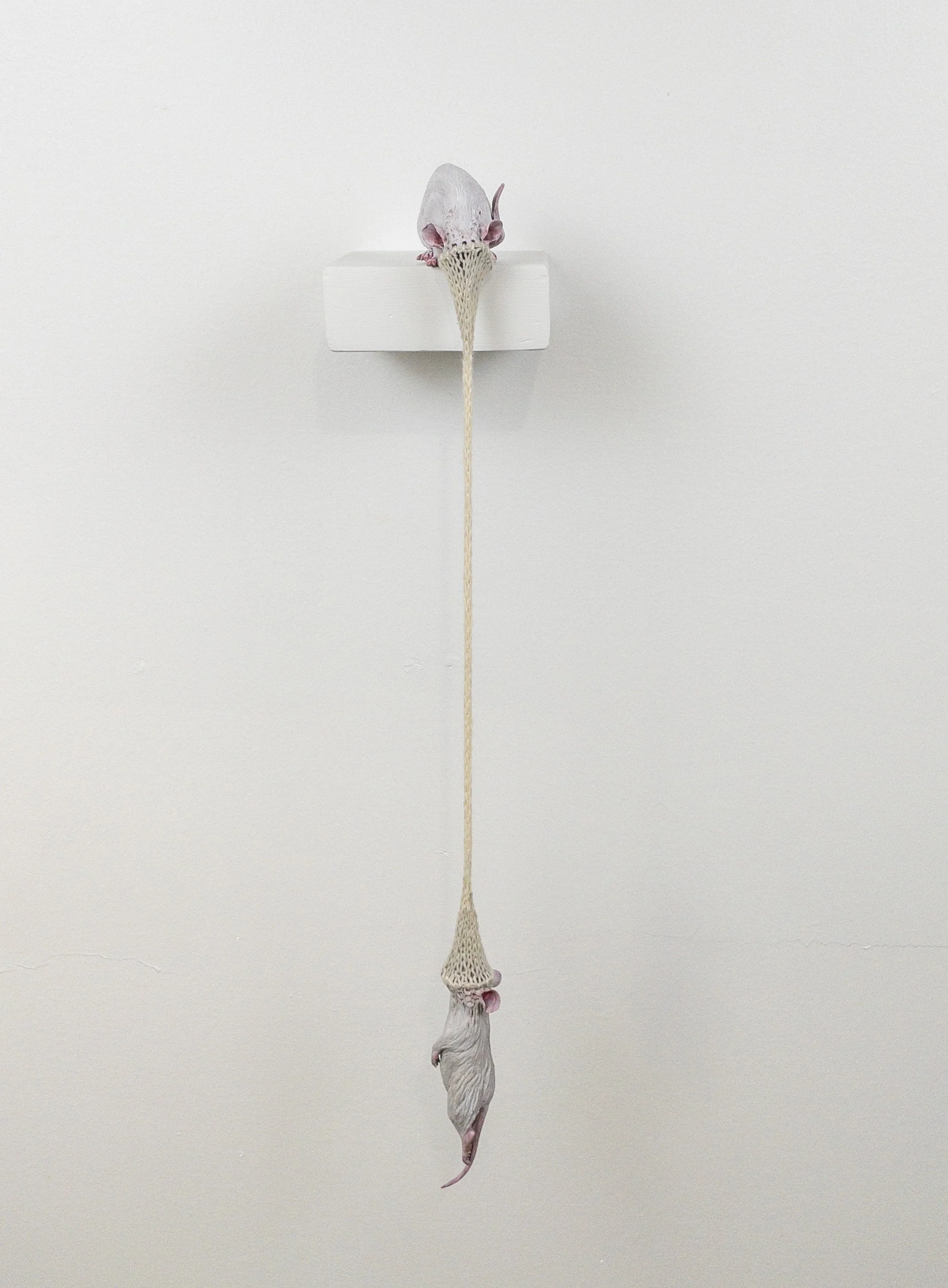  Savior Complex  
Sara Torgison, Ohio 2022, Stoneware, reduction fired to cone 10, 18 in x 5 in x 5.1/2 in, 
NFS