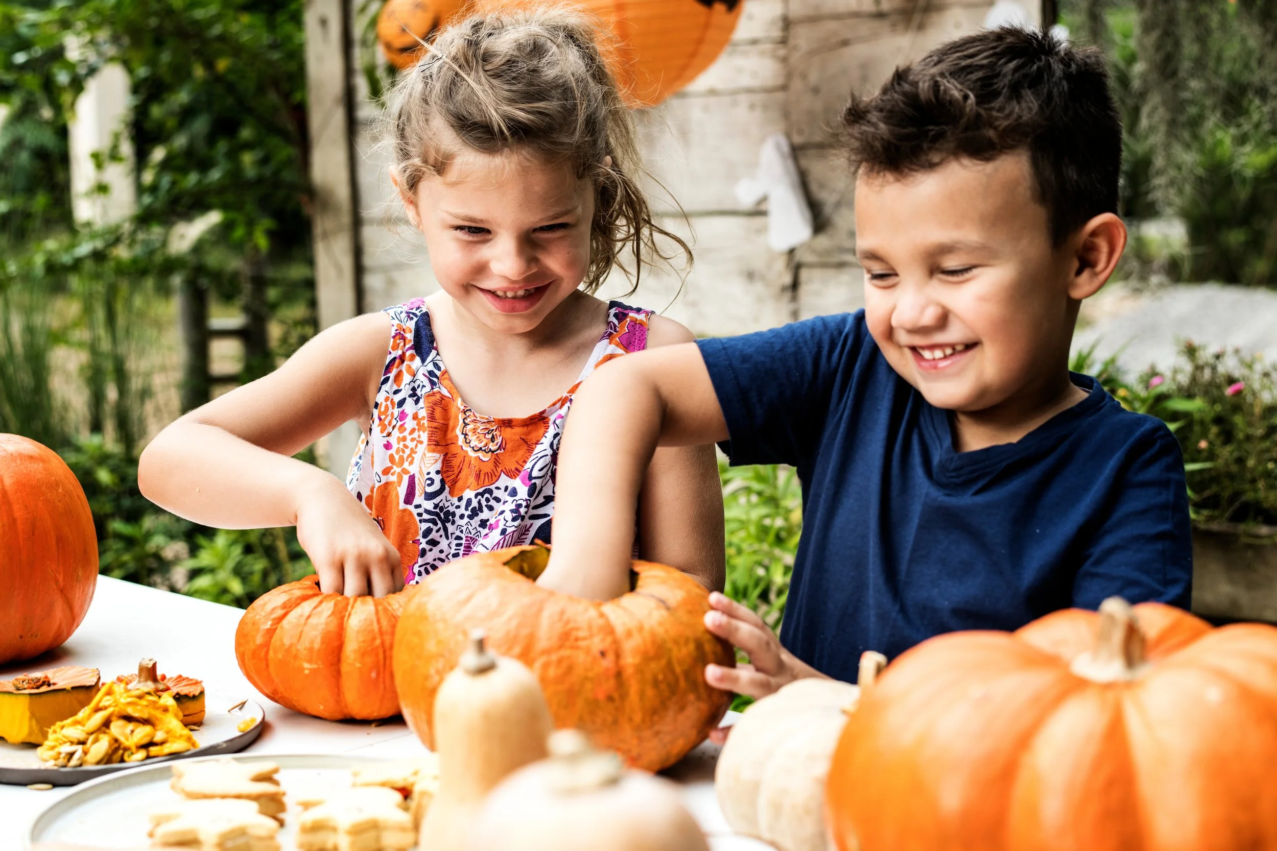 Fall Fest