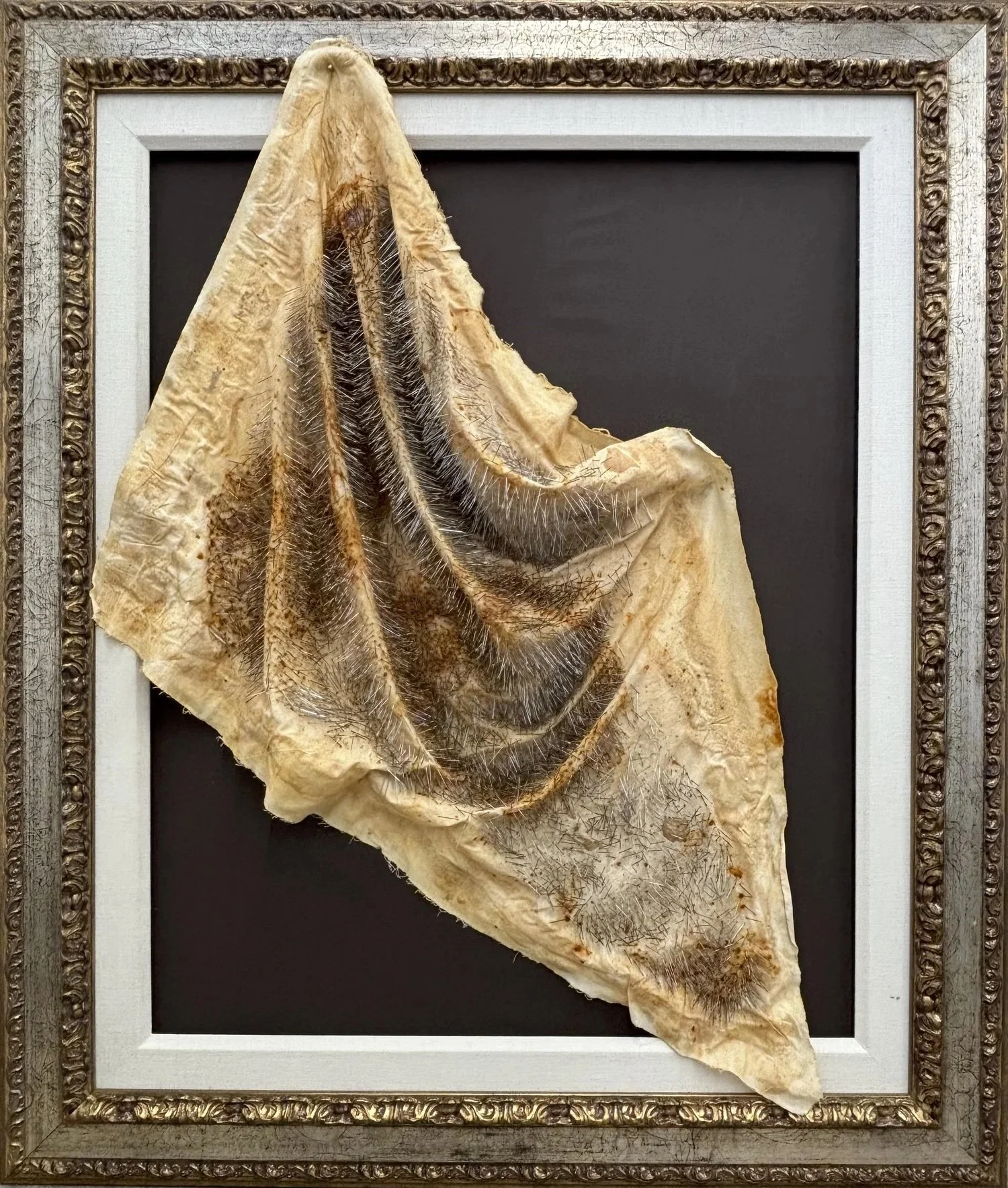 Exhibit: Artifacts of the Absurd by Claire R Lynch, February 1- February 28, 2026. 