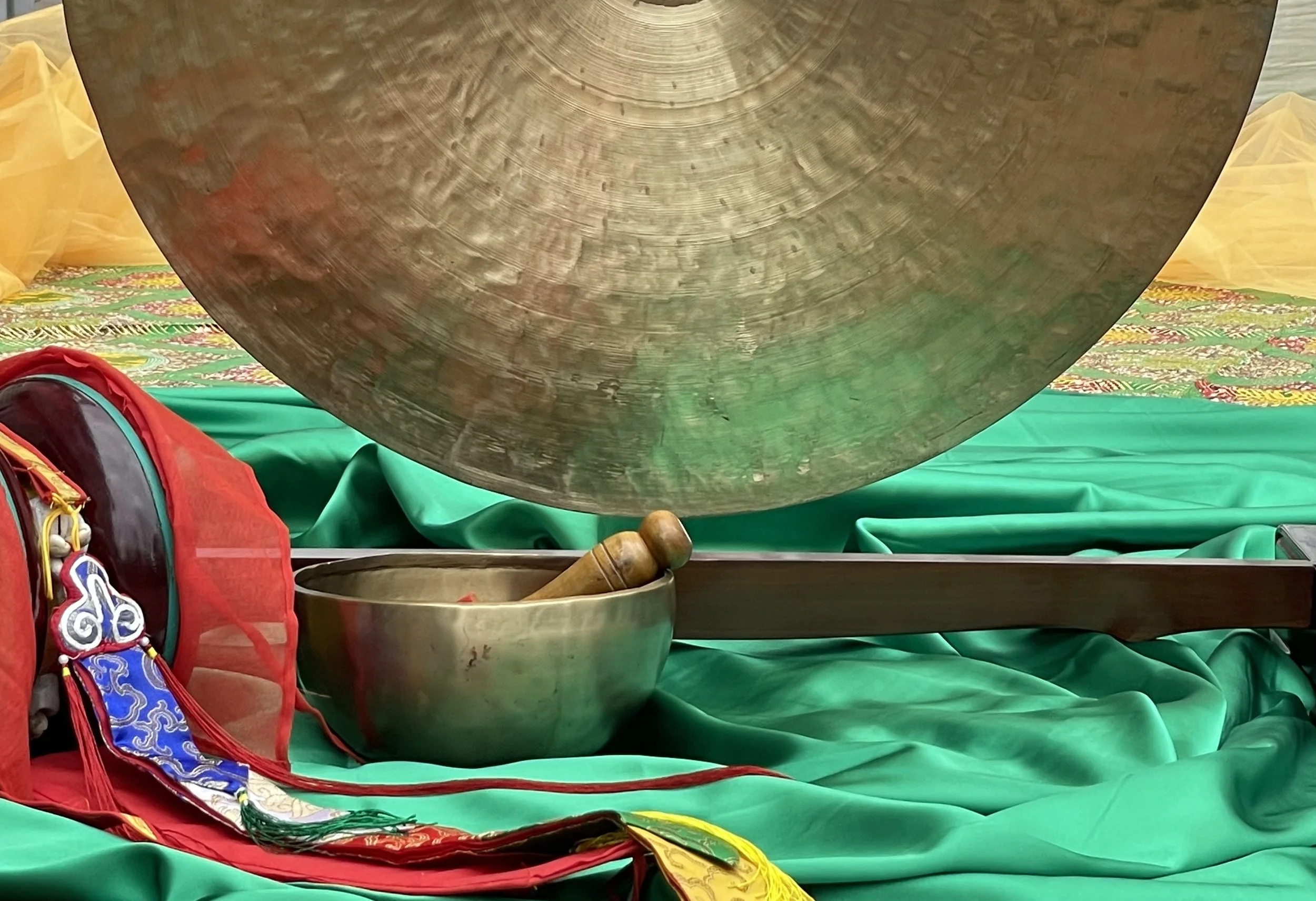 Sunday Wellness: Sound Bath with Iris McCray - The Urge to PURGE