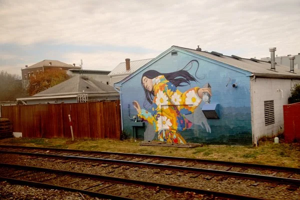 Sibley-MurialFlows (3).jpg