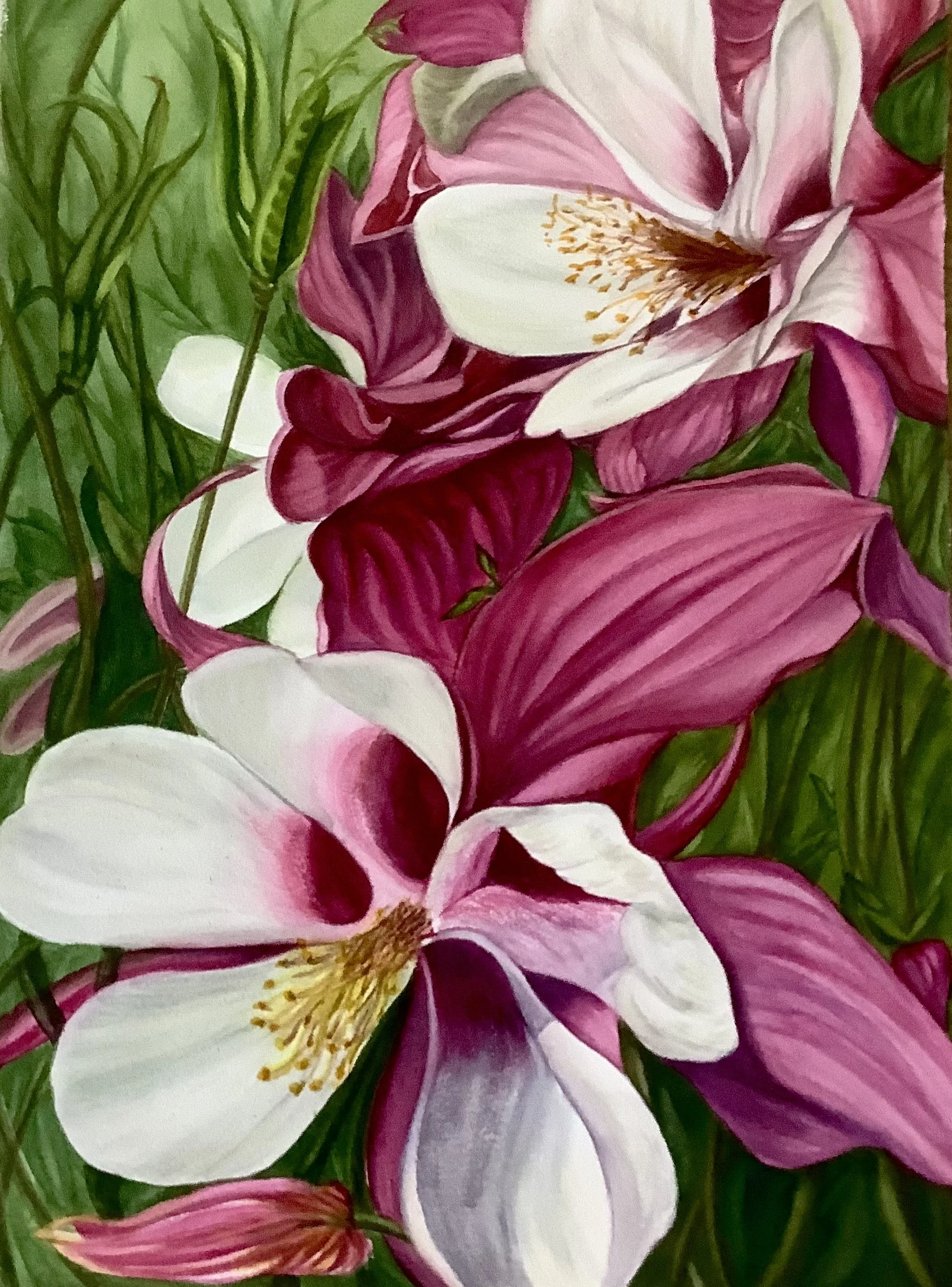 Exhibit: Rhapsody of Colors by Terry Anstrom - W-6, August 2 - August 30, 2026.