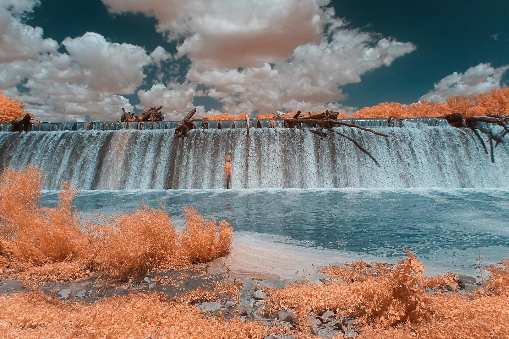 Accotink Dam Dean McIntyre DSC03508.jpg