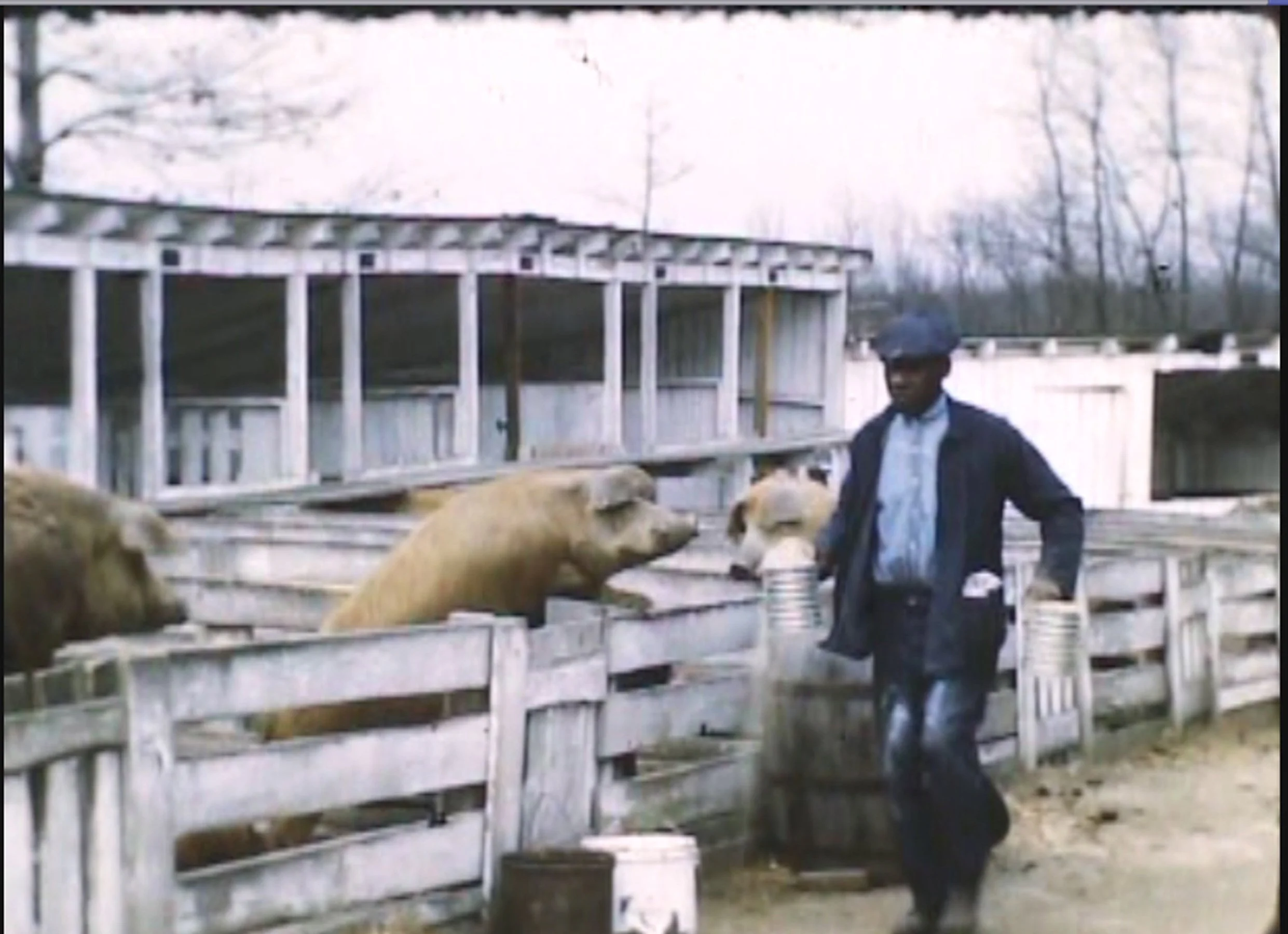 2010-10-16 11.49.12.jpg