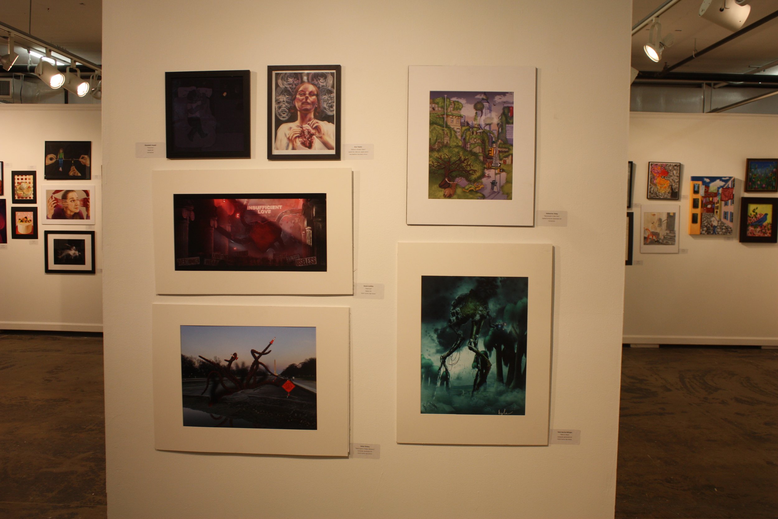 Congressional Art Comp 7.JPG