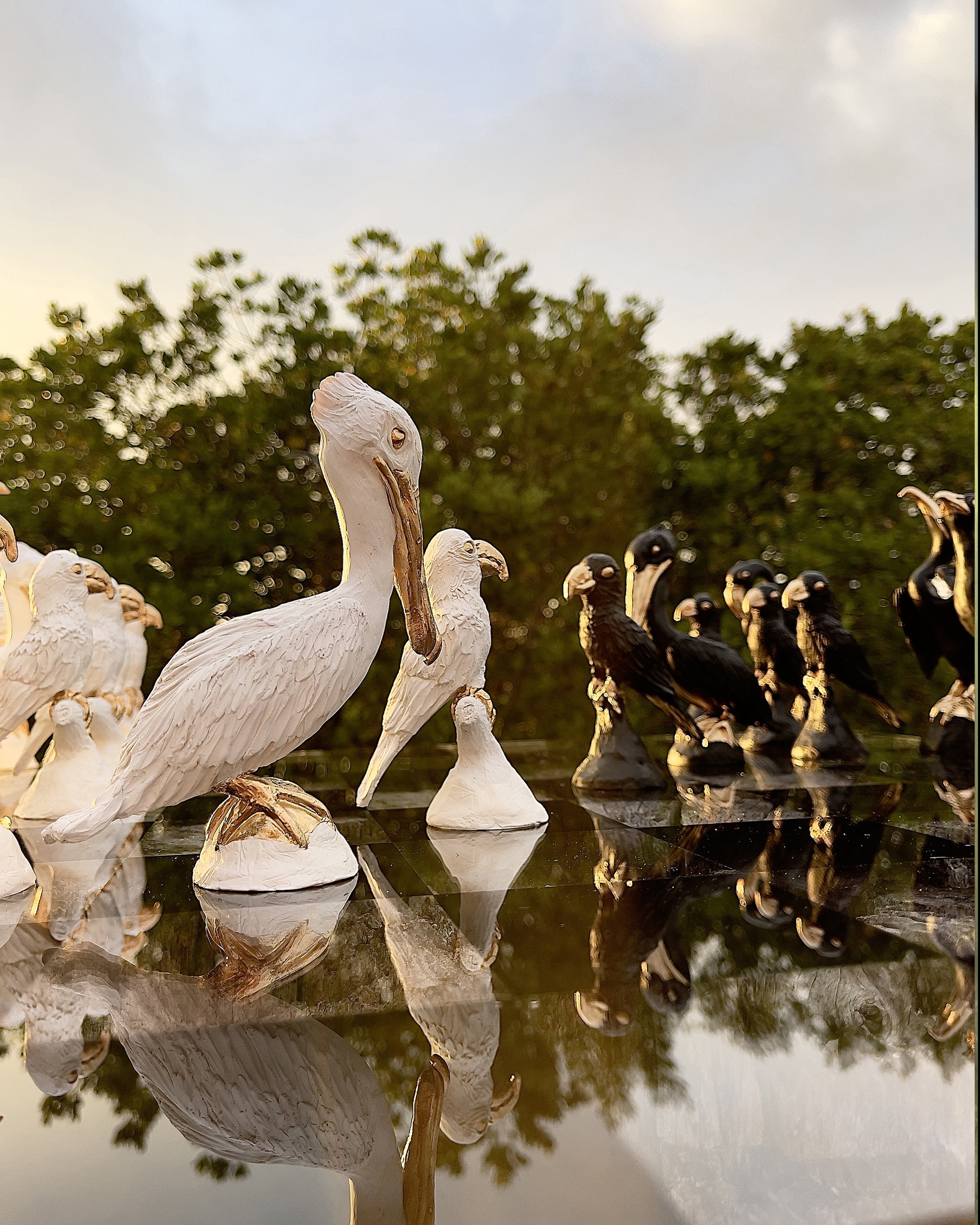 Florida Birds Chess Set 