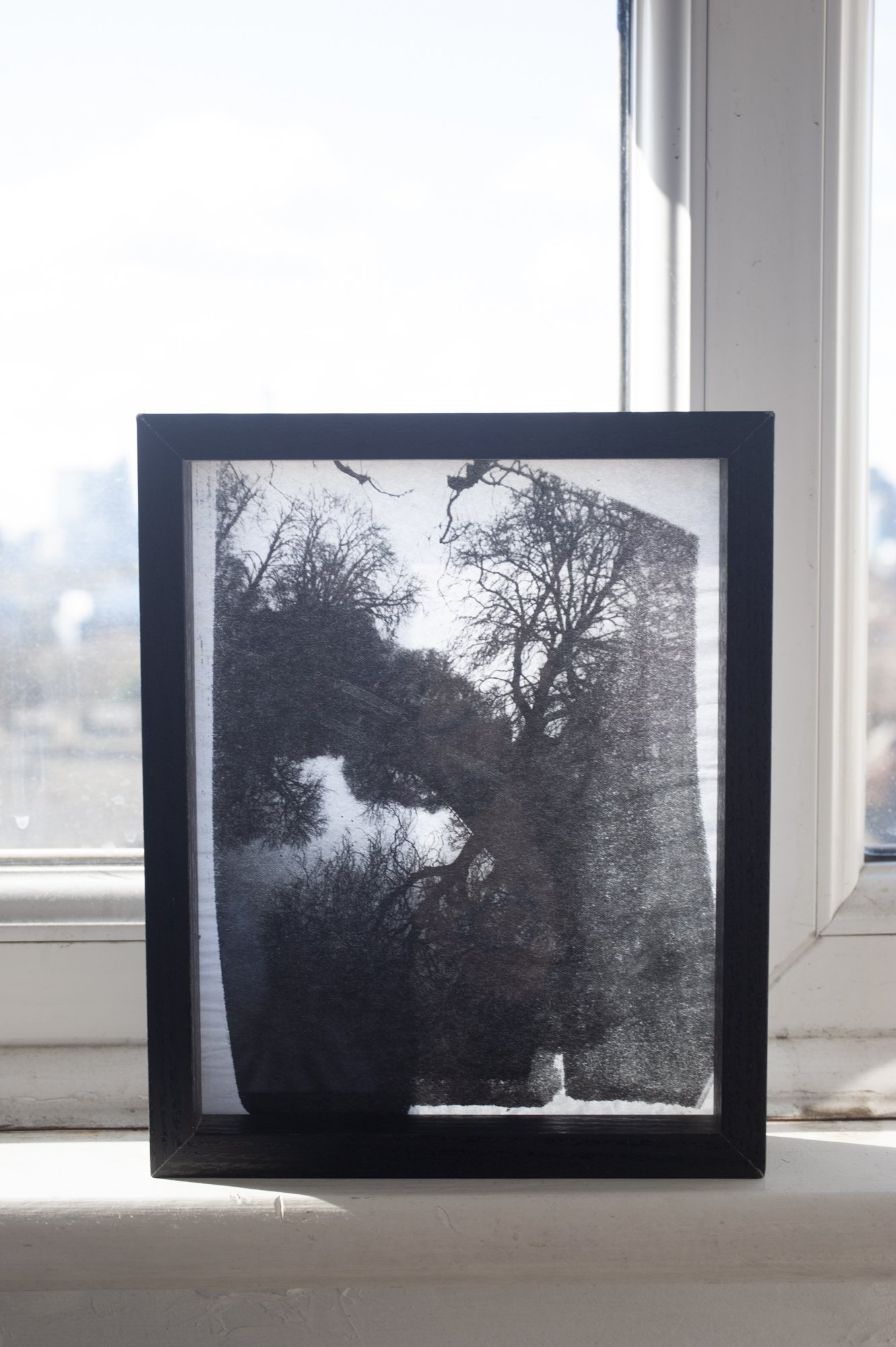 Framed liquid emulsion