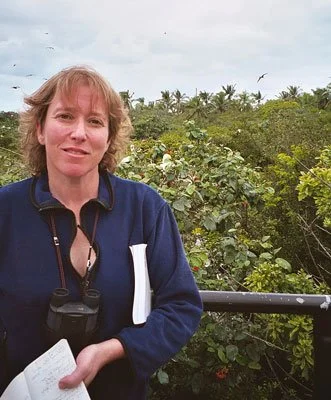 Adrienne Ross Scanlan standing above tree tops with binoculars