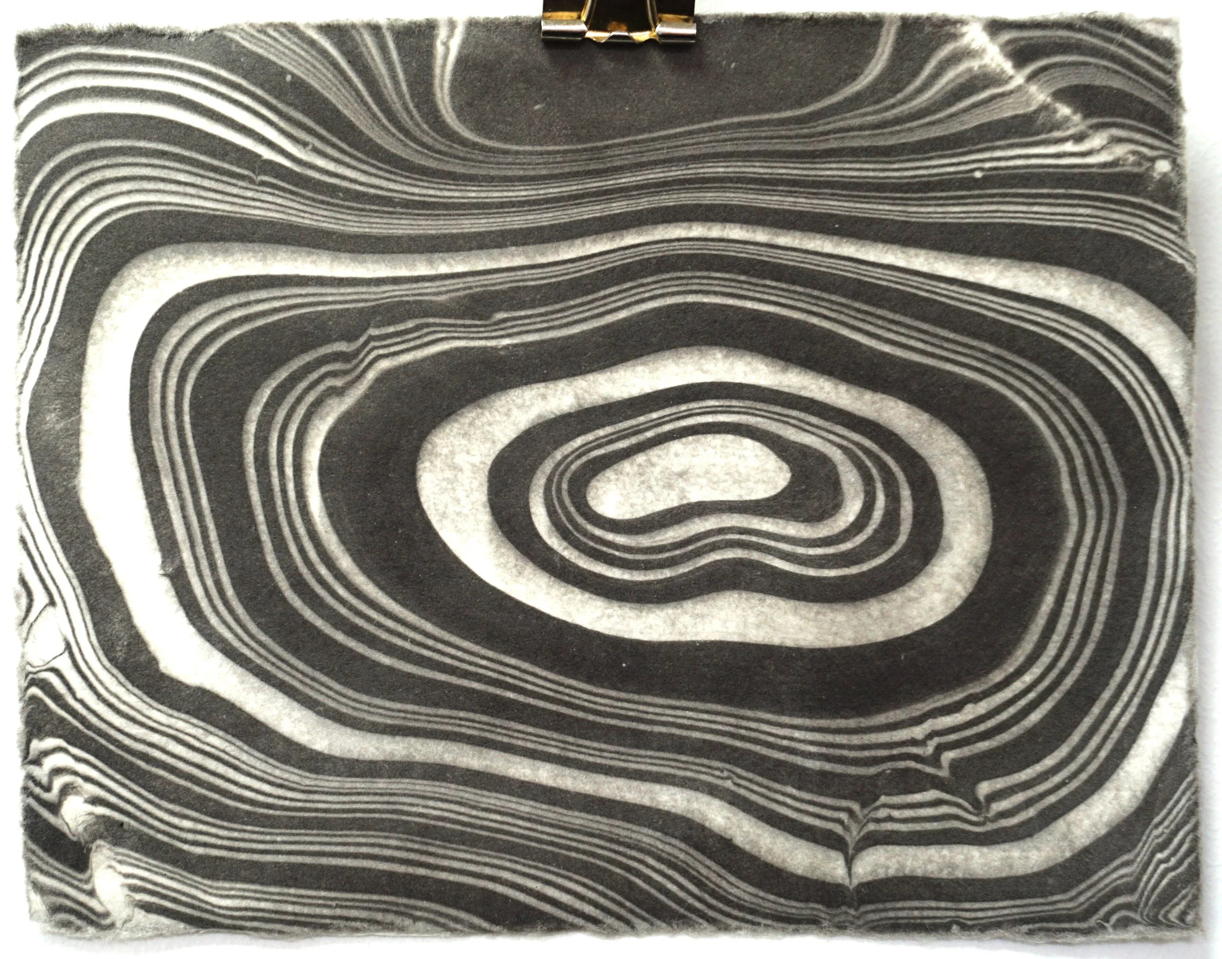 Close-up of a black and white layered stone or mineral with concentric patterns.