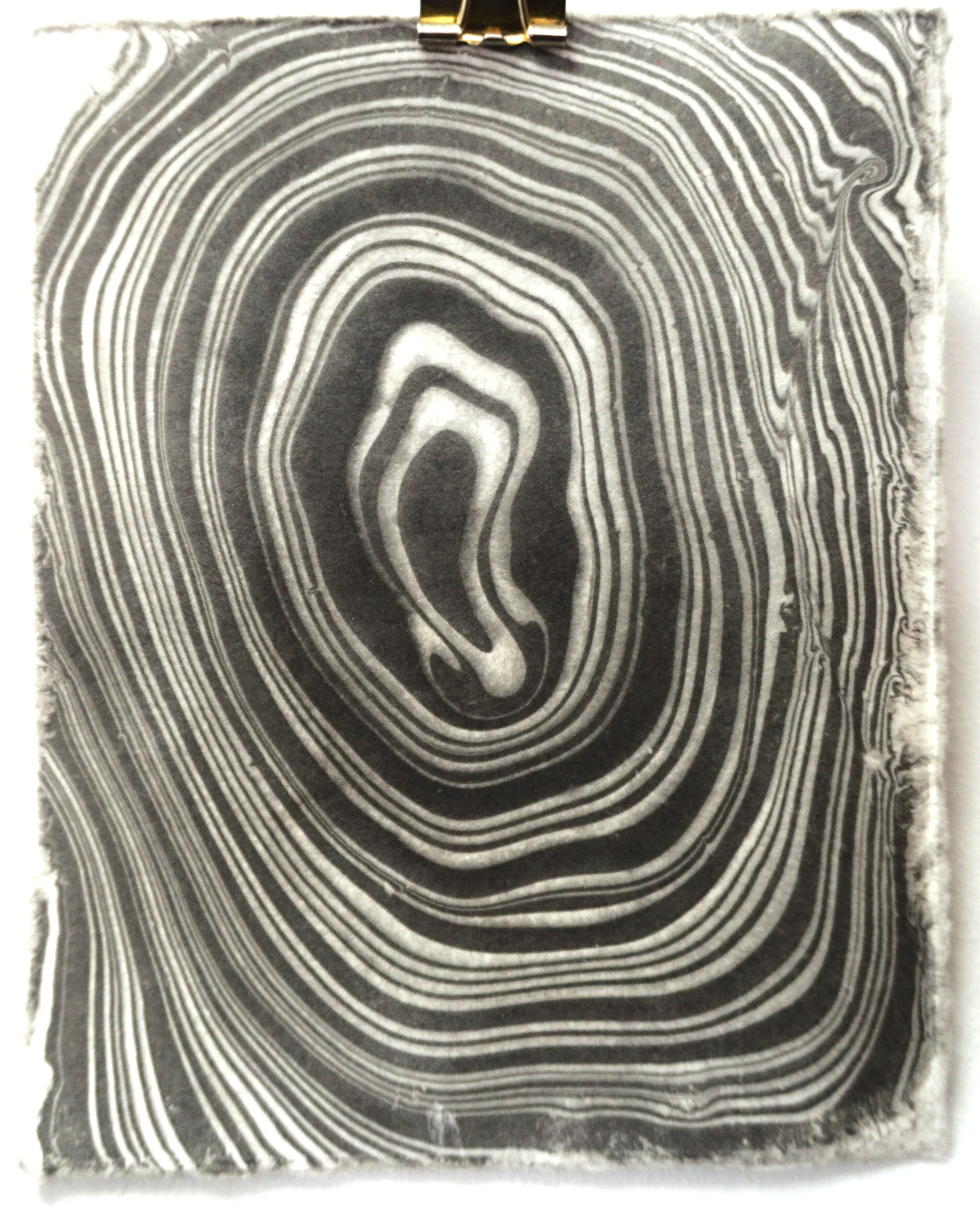 Black and white close-up of layered mineral or rock, showing concentric patterns and textures.