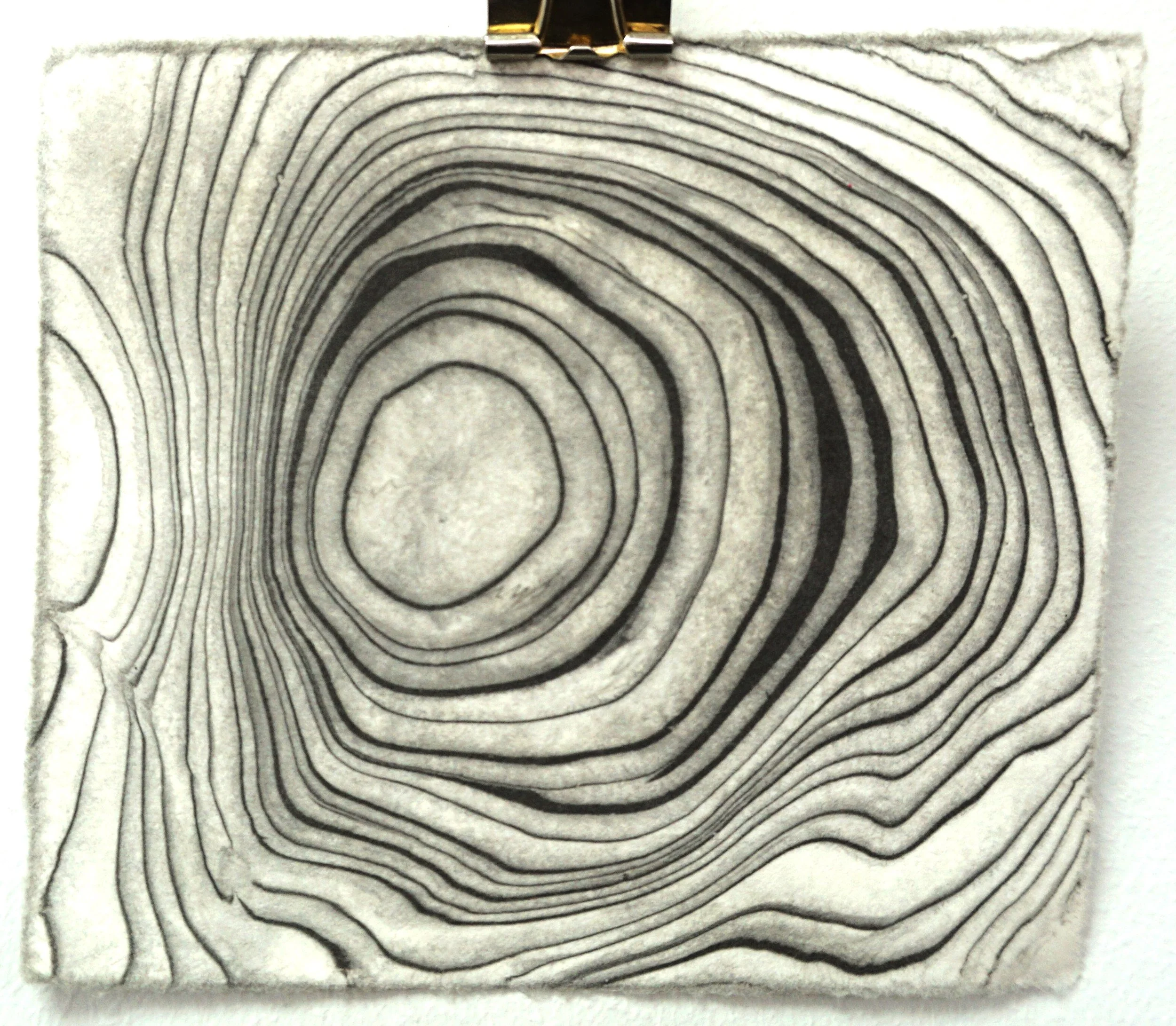 Close-up of a textured paper with black contour lines resembling a topographic map or tree ring pattern.