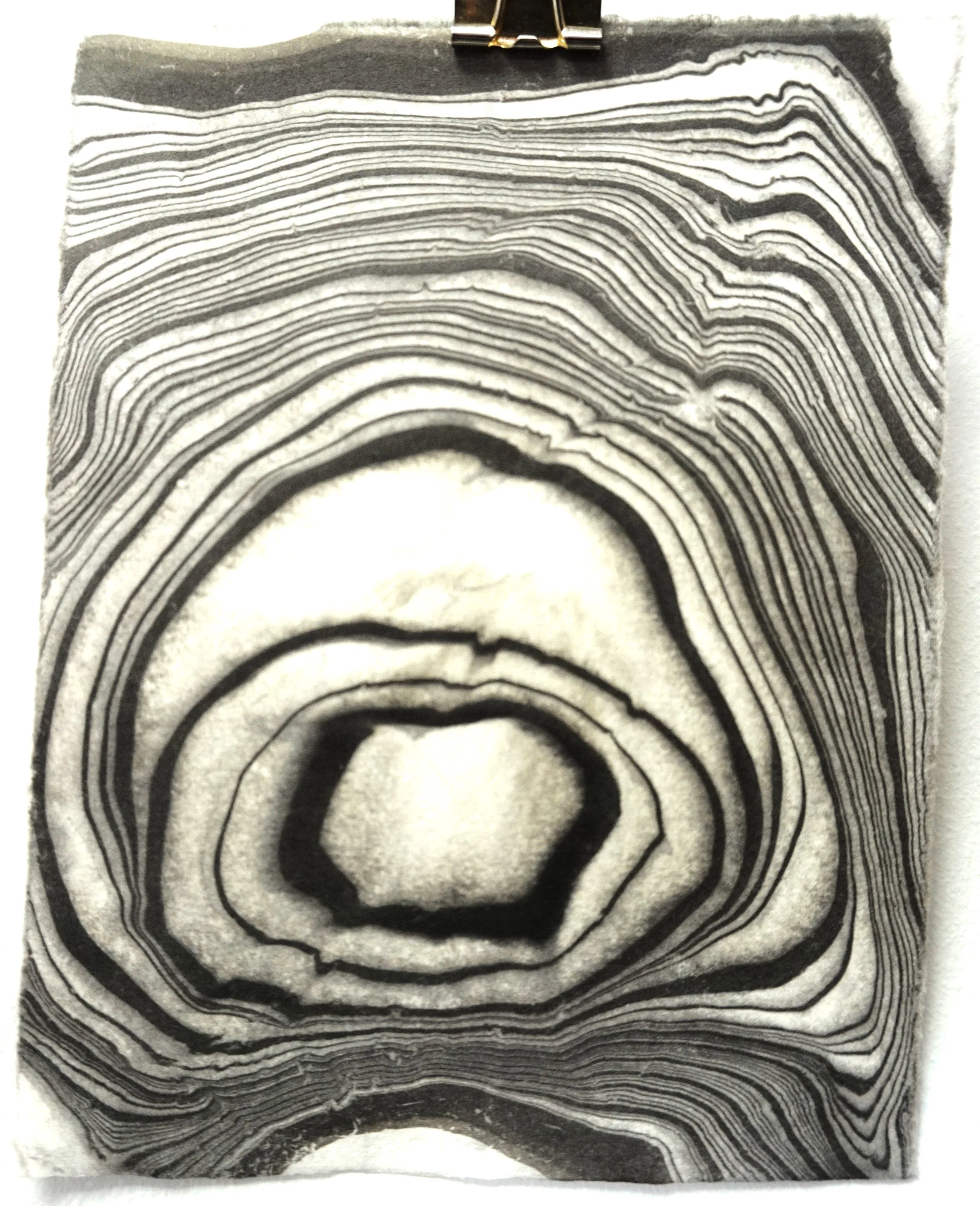 Close-up of a black and white mineral or geological section with concentric banding and layered patterns.