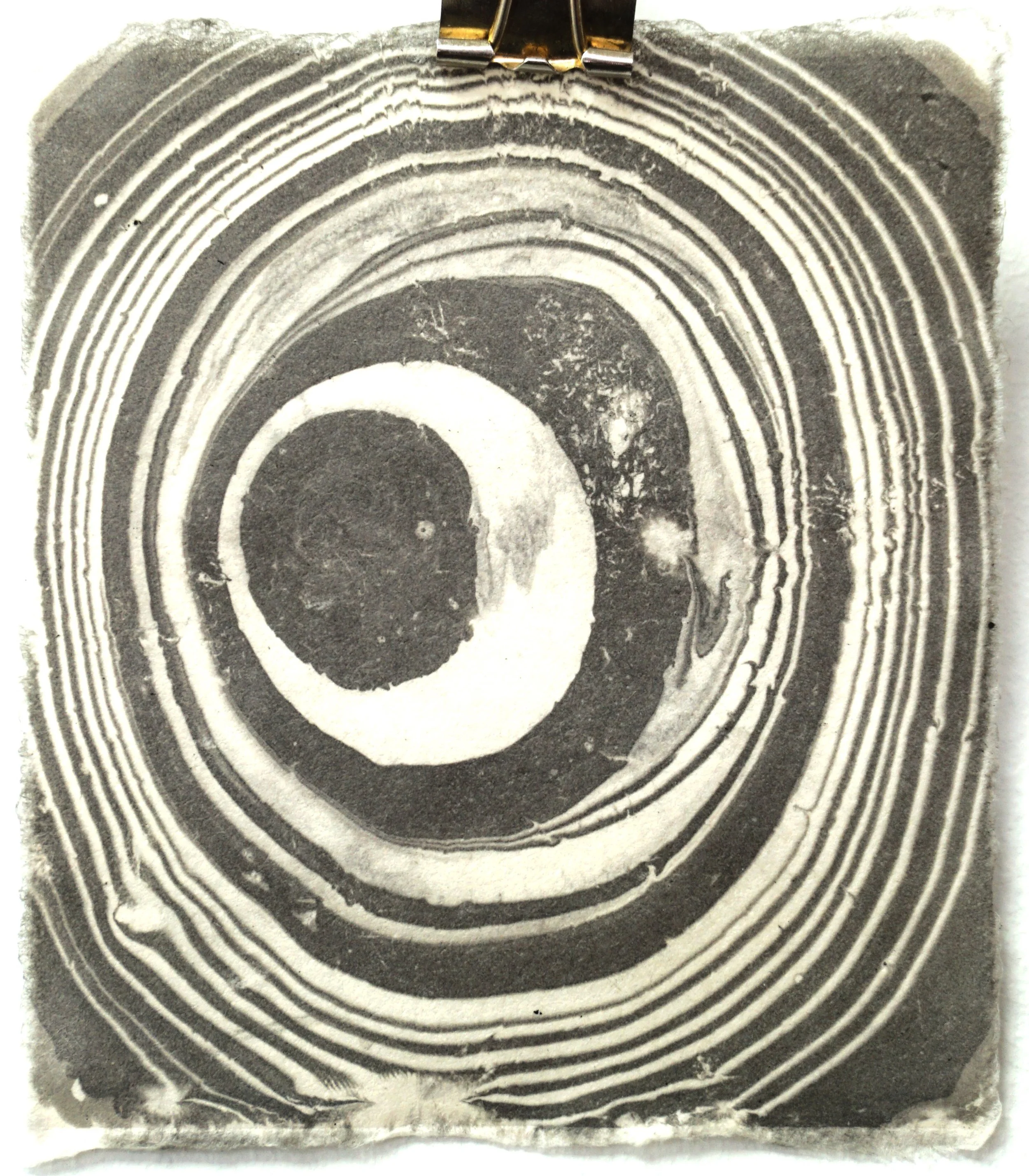 A black and white image of tree rings, showing concentric circles with a dark center and lighter outer rings.
