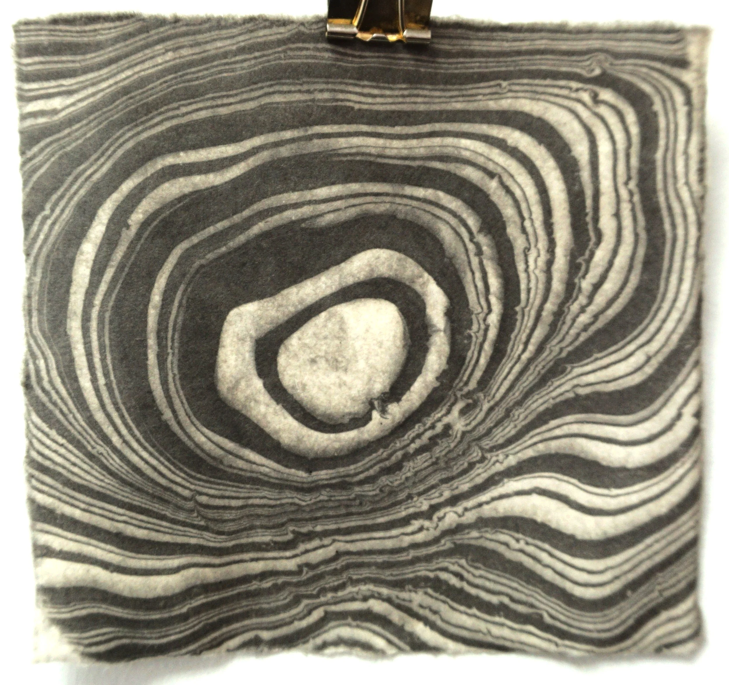 Close-up of a black-and-white patterned fabric with concentric irregular lines resembling a topographical map or geode.